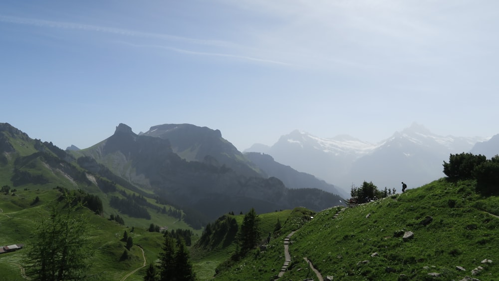 un paesaggio con colline e alberi