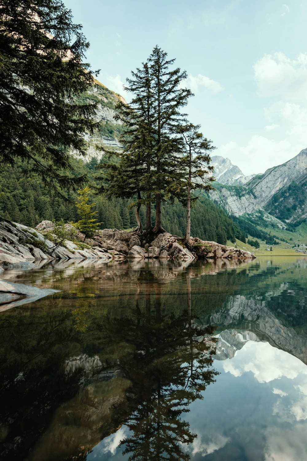 Ein See mit Bäumen und Bergen im Hintergrund