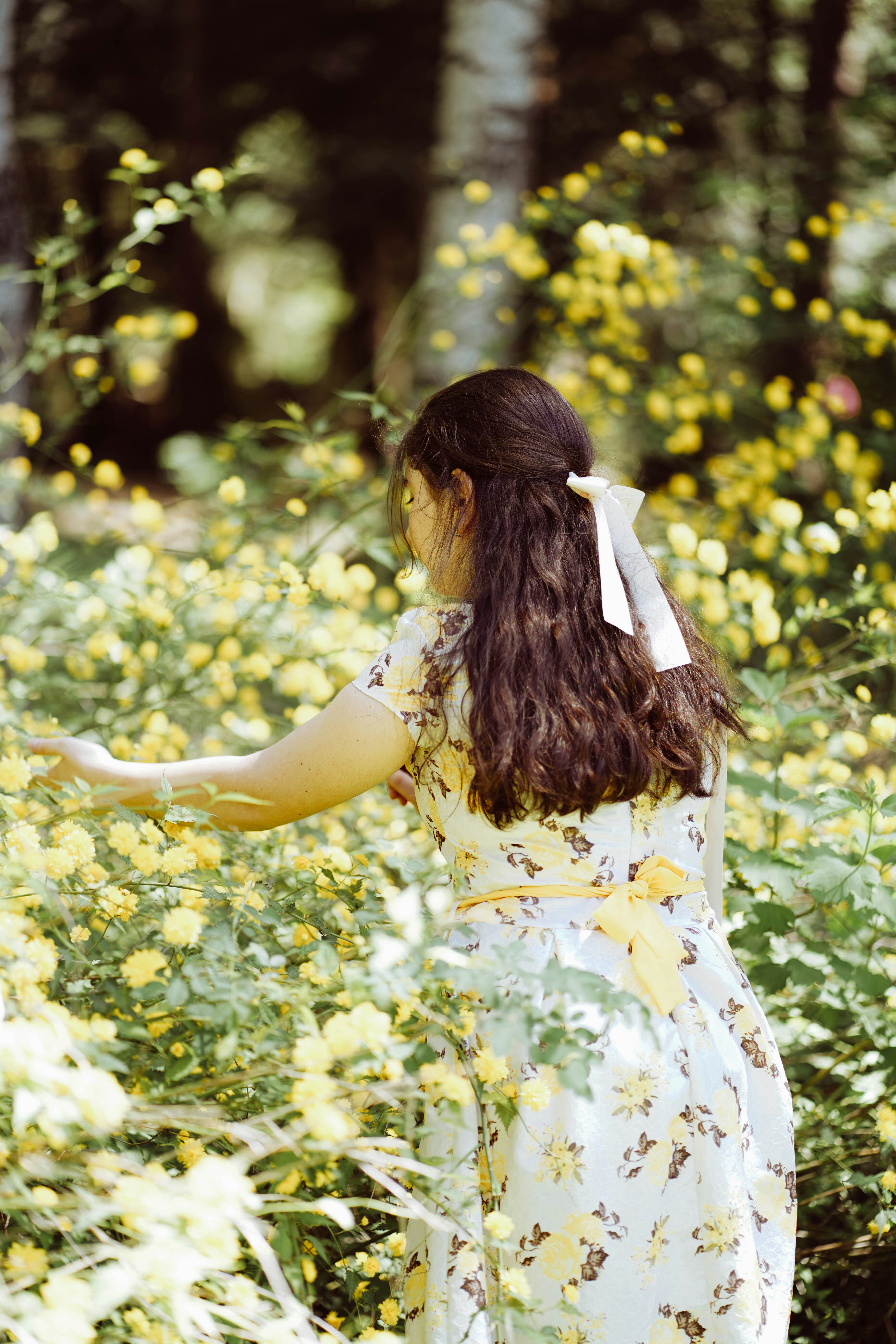 A person in a white dress in a field of flowers photo – Free Stepanavan ...