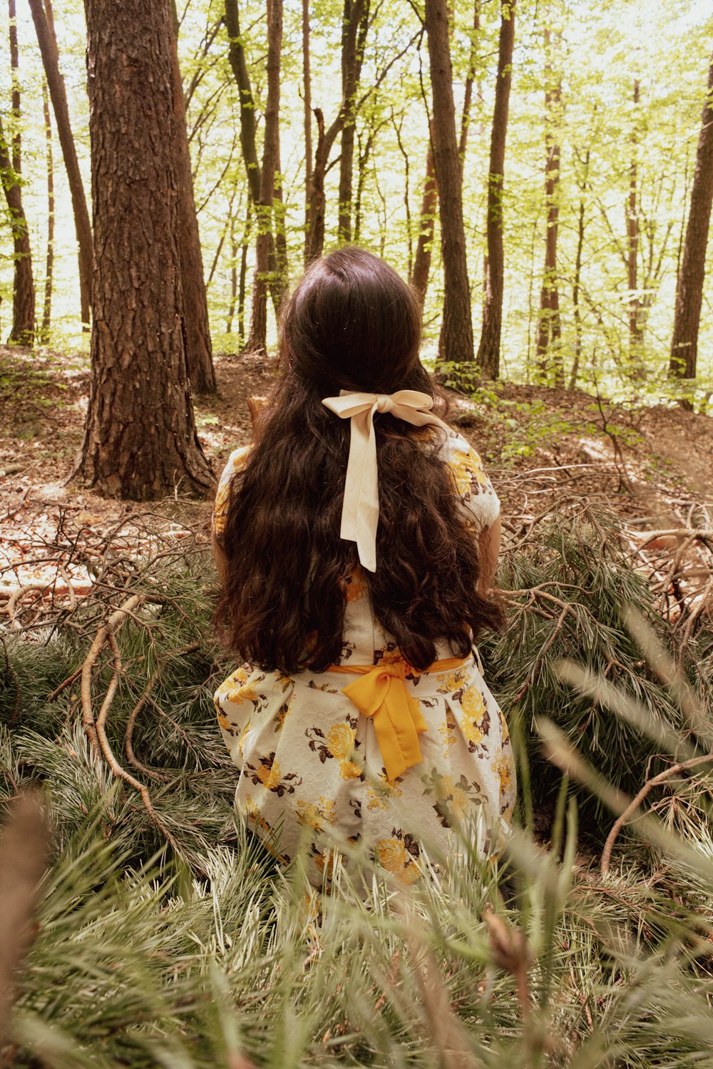 une personne dans une forêt