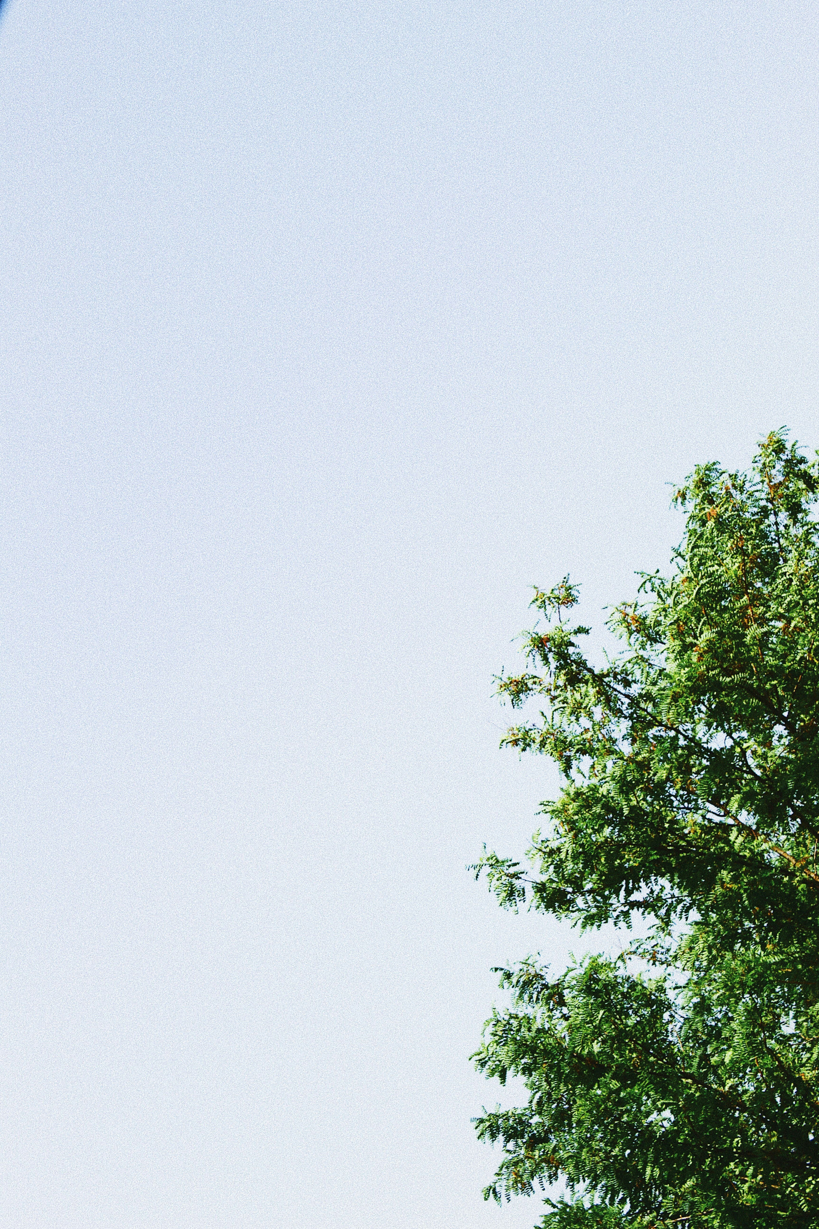 photo-1656334271232-fe4022ce05b5?ixid=M3wxMjA3fDB8MXxzZWFyY2h8MTd8fCVFMCVCOCU5NyVFMCVCOCVCMiVFMCVCOCU4NyVFMCVCOSU4MCVFMCVCOCU4MiVFMCVCOSU4OSVFMCVCOCVCMnVmYWJldHxlbnwwfHx8fDE3NjQzNDE0NDB8MA\u0026ixlib=rb-4.1.0