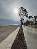 A tranquil coastal walkway stretches alongside a pebble beach under a partly cloudy sky. The sun shines brightly, casting long shadows from the sparse trees lining the well-maintained path. Some people stroll along the promenade, enjoying the serene atmosphere.