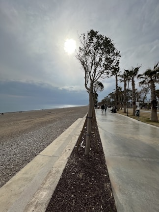 A tranquil coastal walkway stretches alongside a pebble beach under a partly cloudy sky. The sun shines brightly, casting long shadows from the sparse trees lining the well-maintained path. Some people stroll along the promenade, enjoying the serene atmosphere.