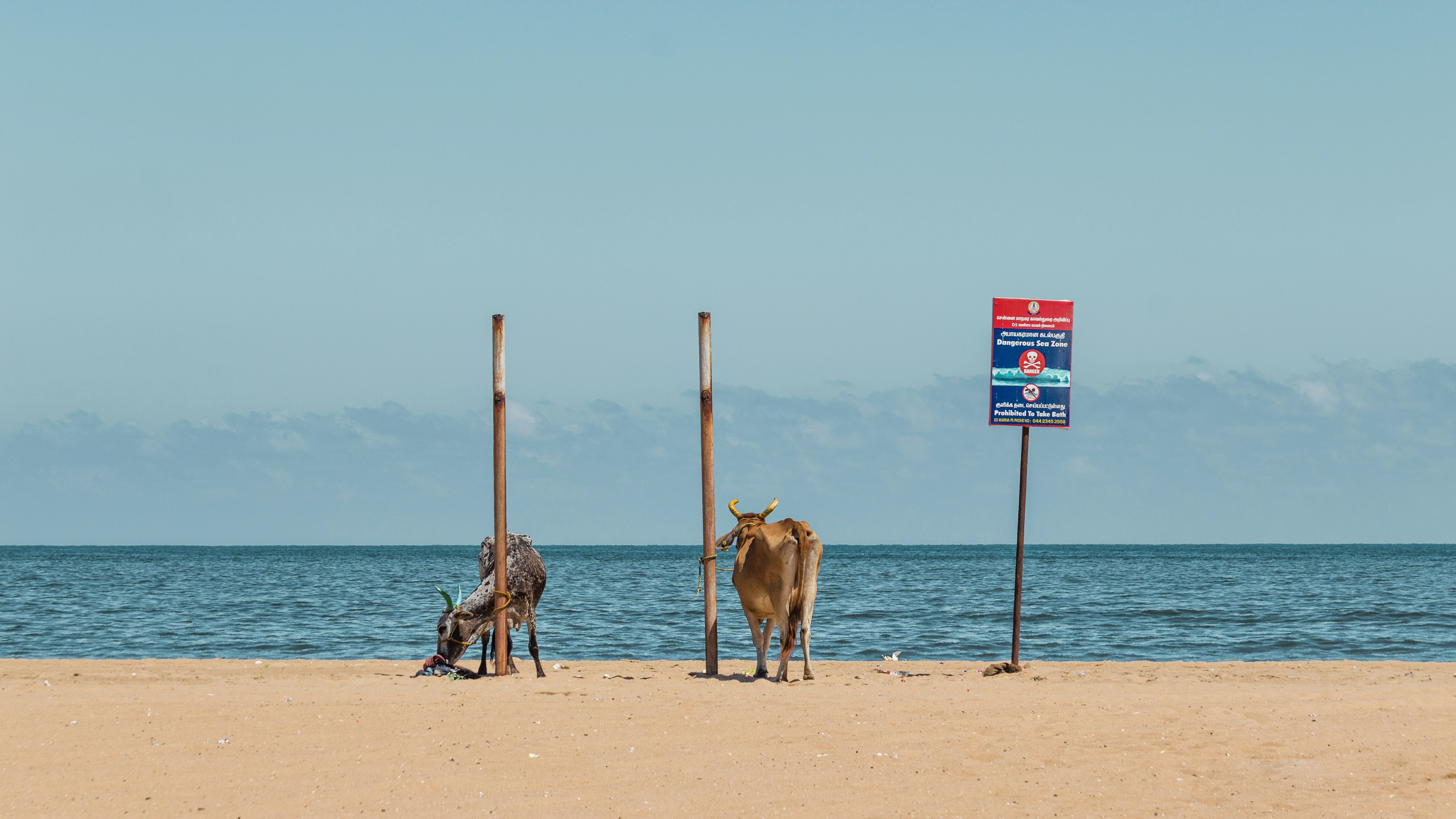 Defining an Oxymoron