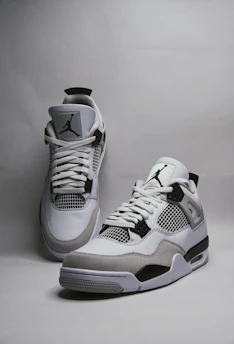 a pair of shoes
