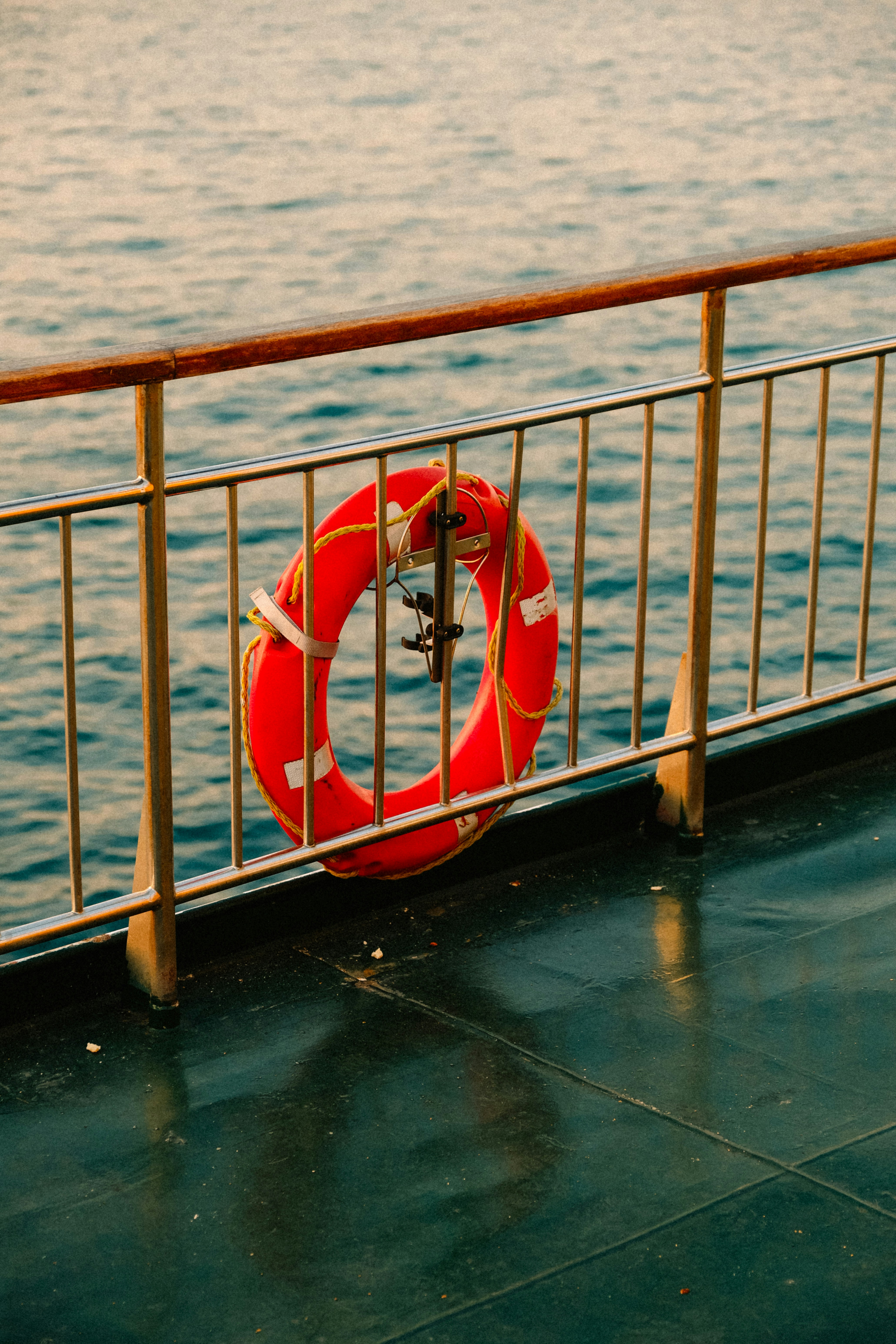 Photo by matreding