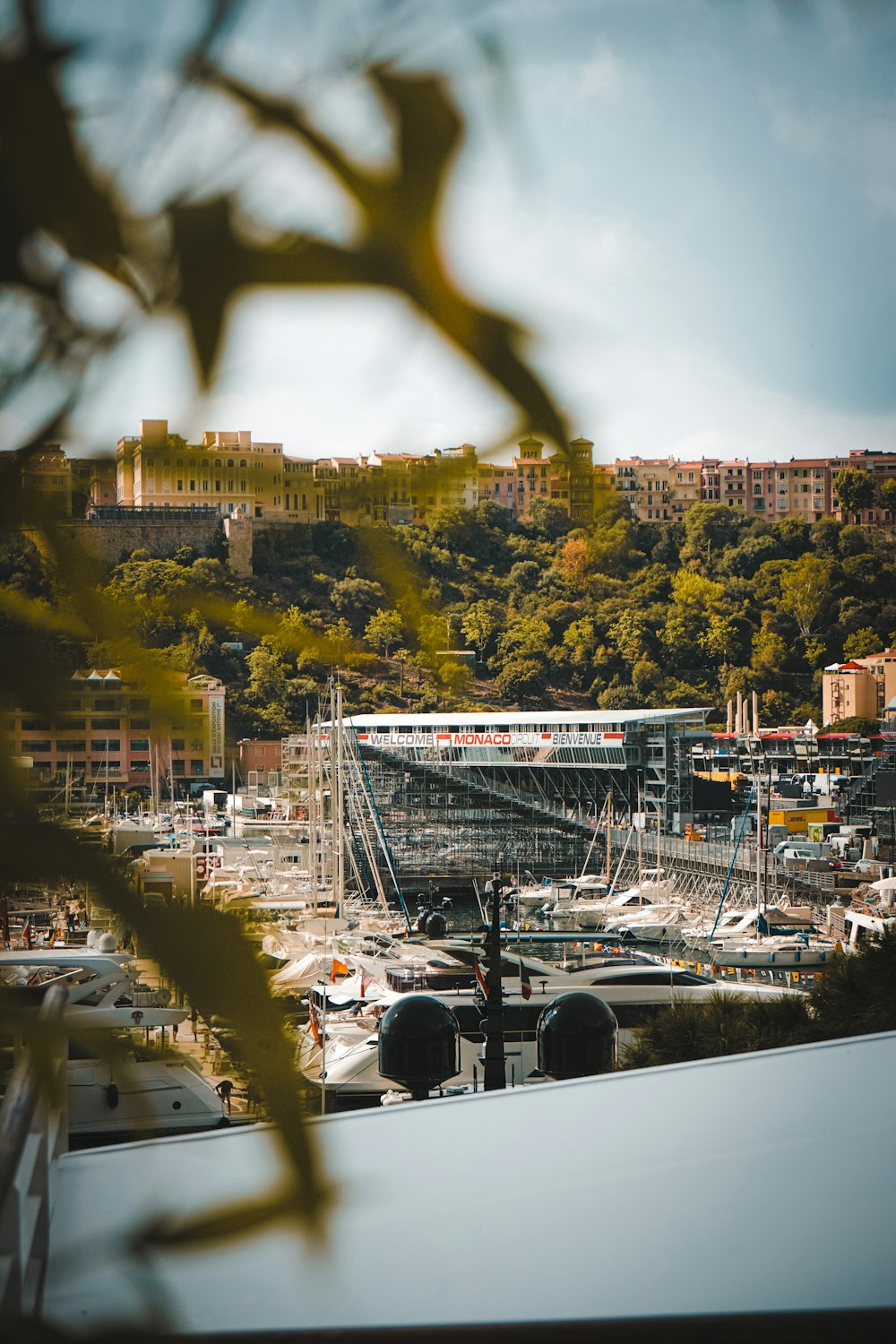 a view of a city with trees and a body of water