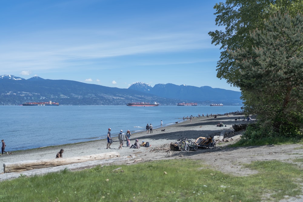 a group of people on a beach