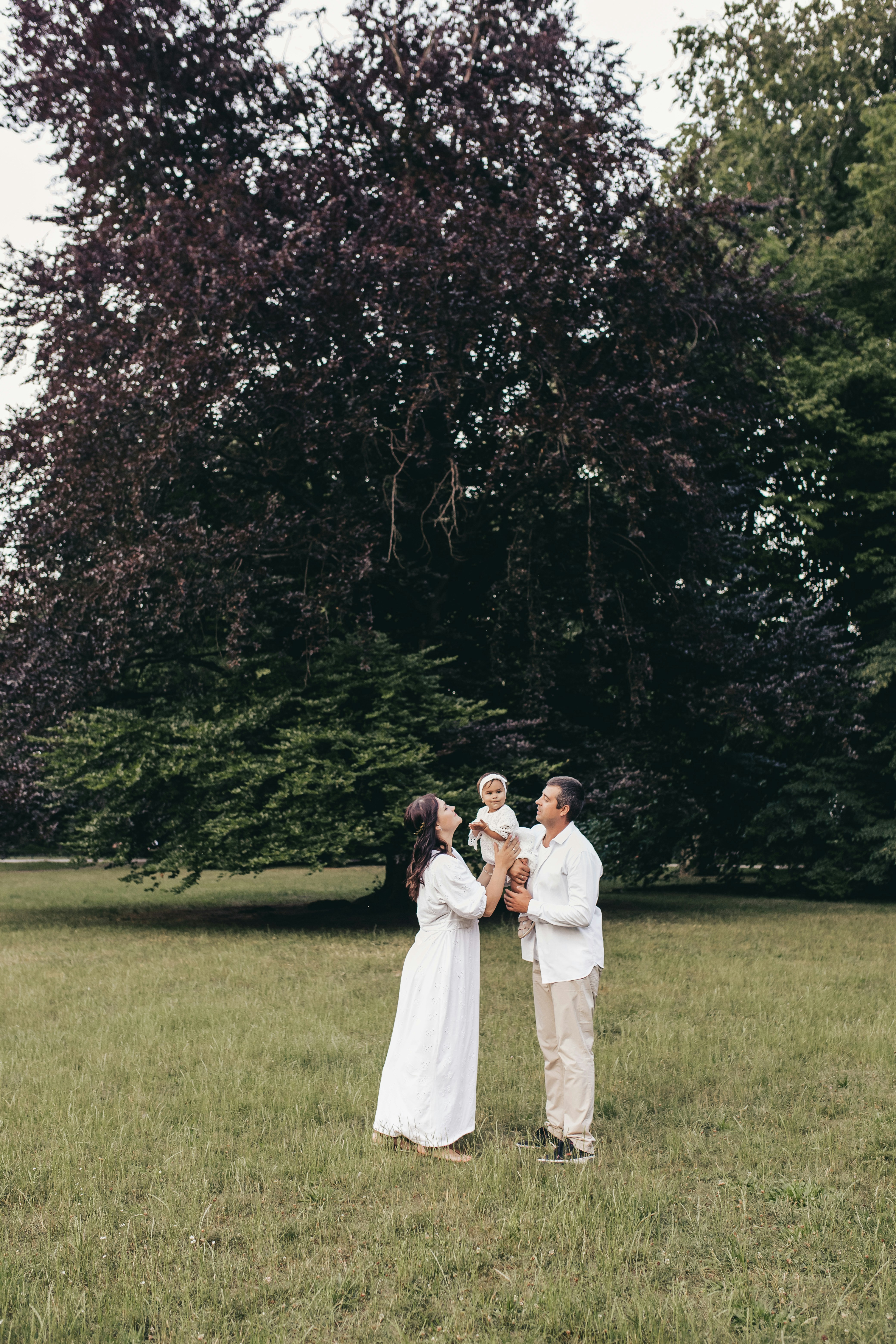 Photo by knuckles_echidna