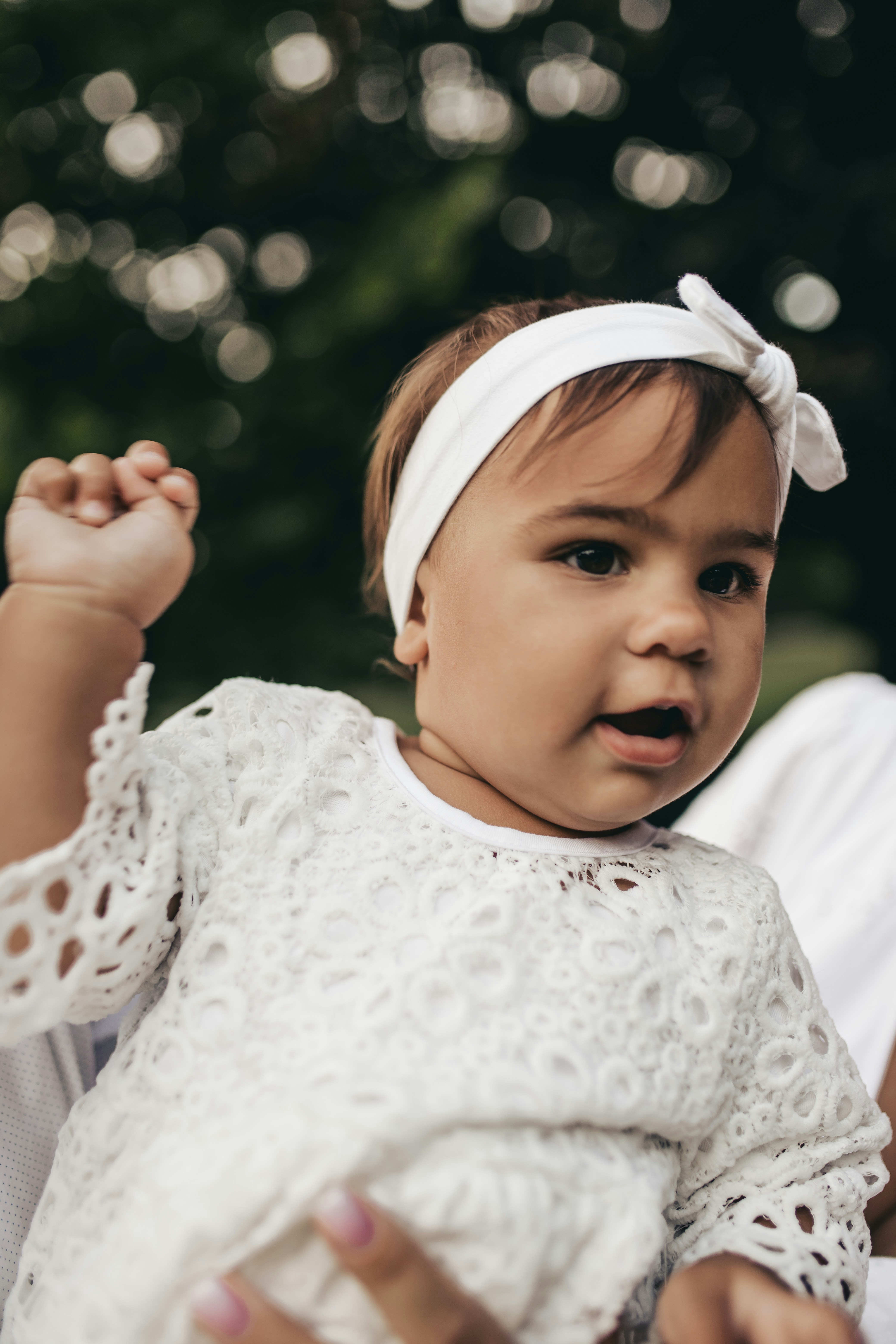 Photo by knuckles_echidna