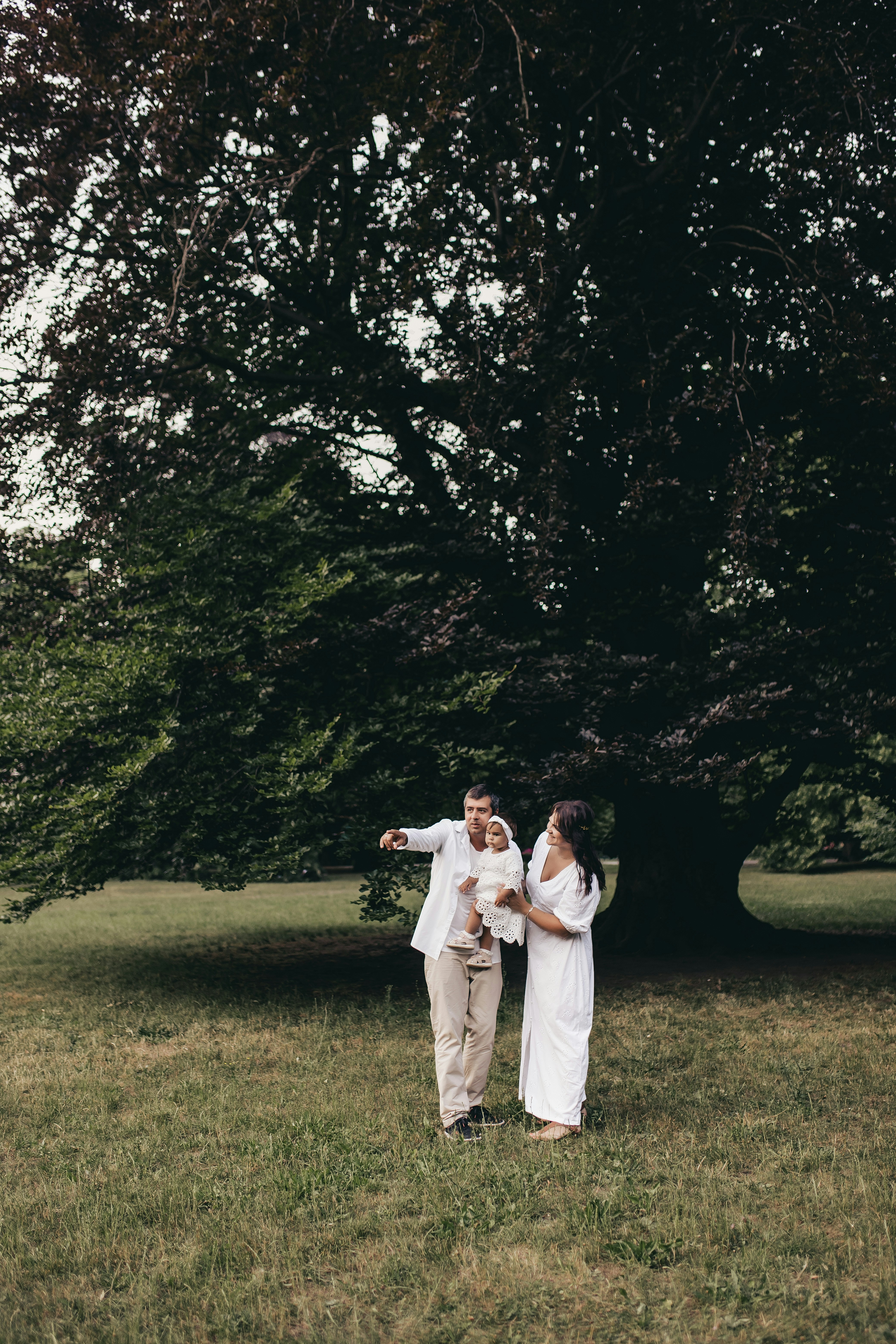 Photo by knuckles_echidna