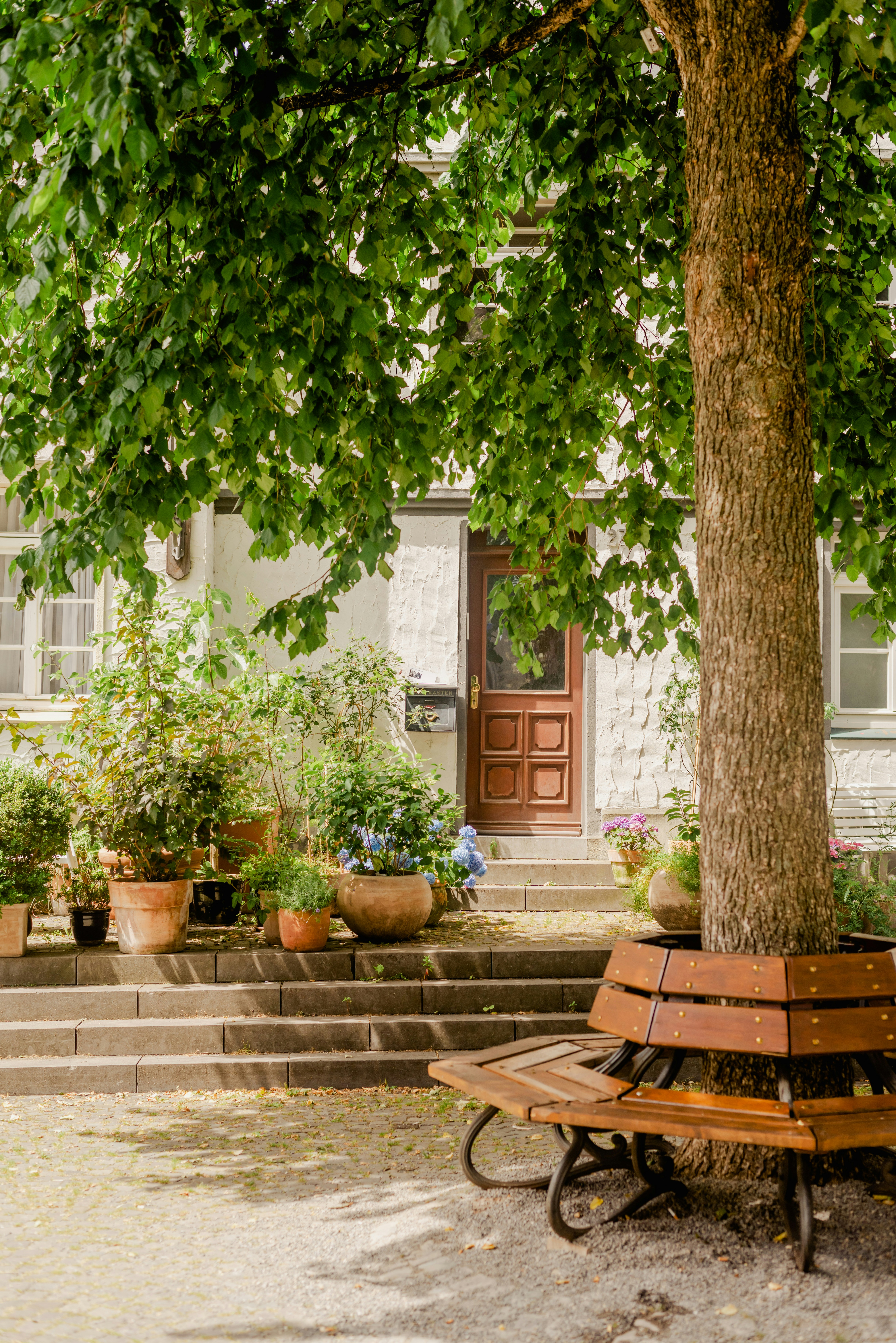 a bench sits unoccupied