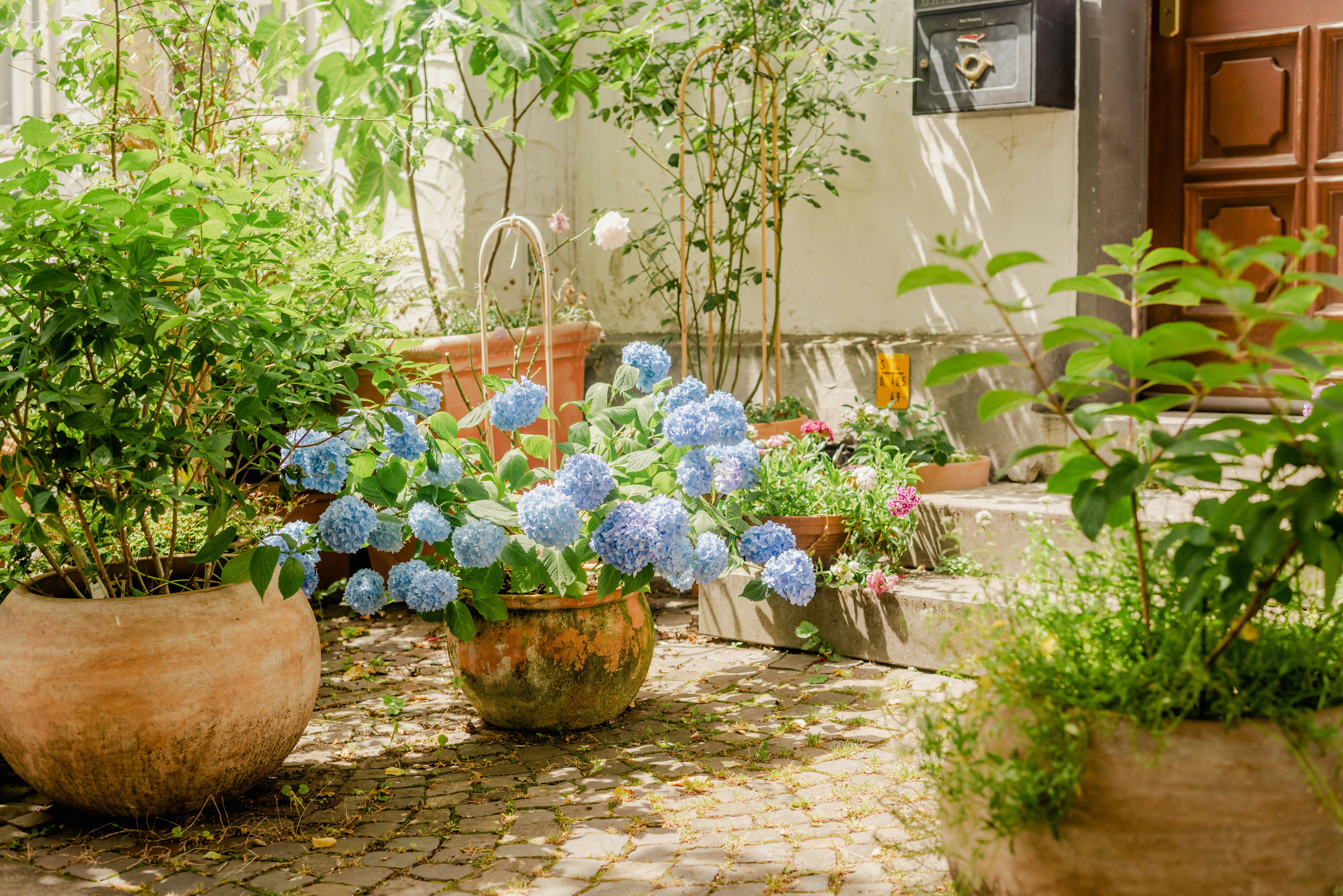 Photo by eugenivy_now