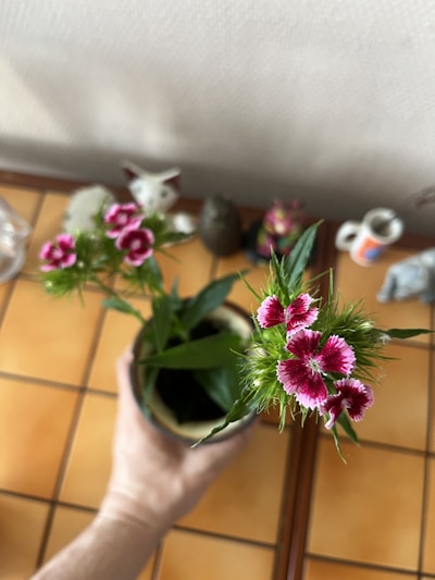 a vase with flowers