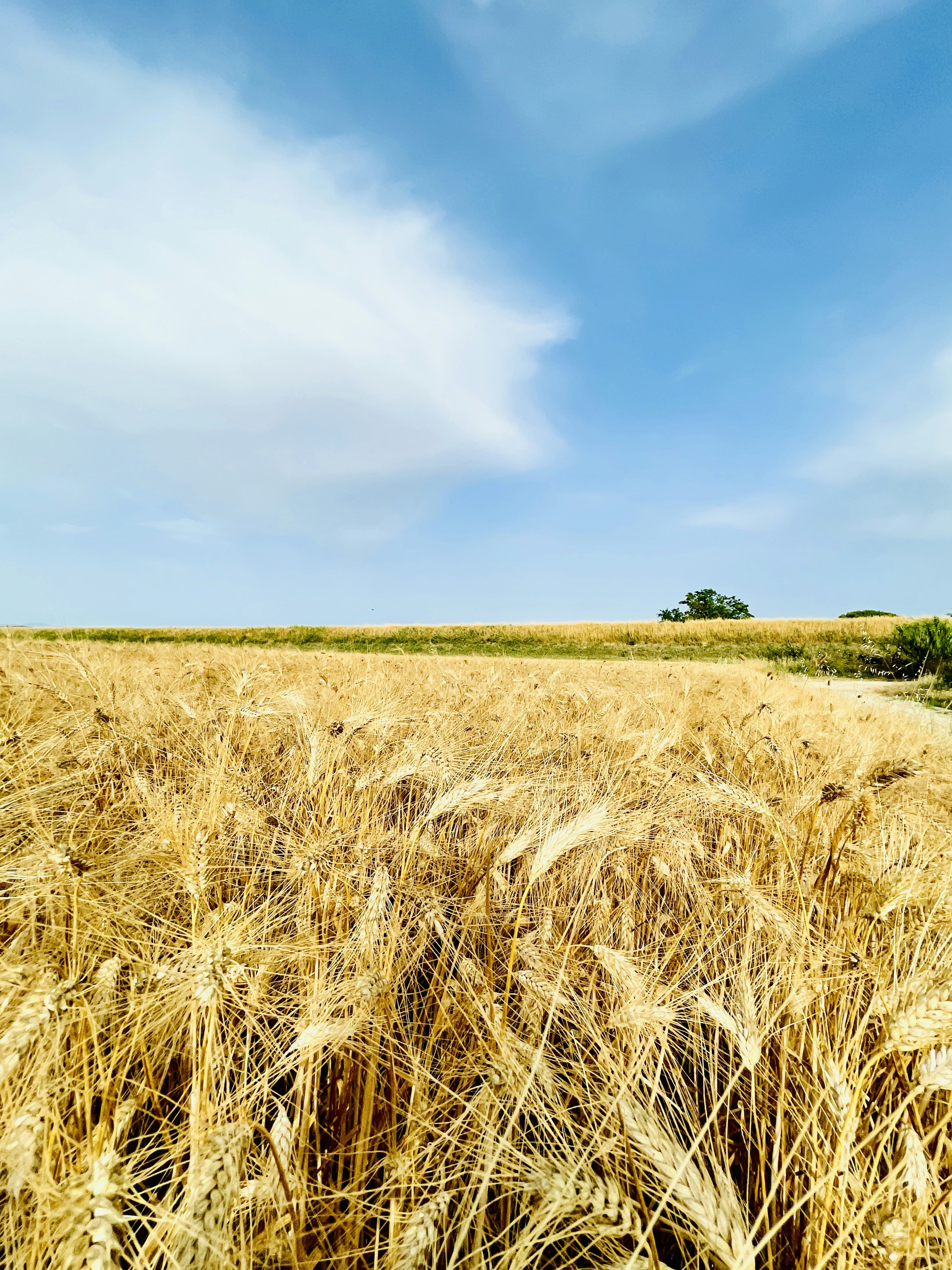 Photo by vincenzogabriele