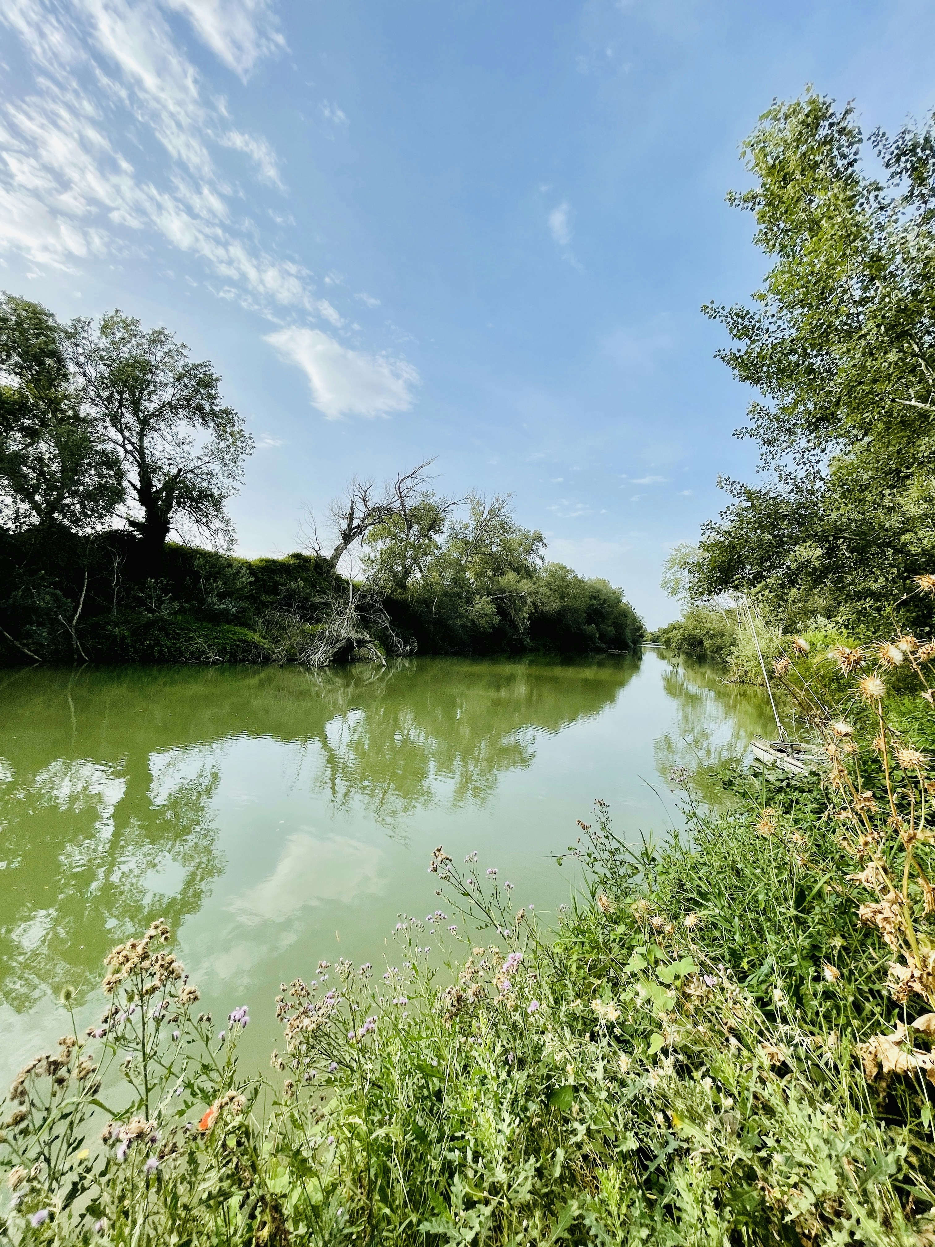 Photo by vincenzogabriele