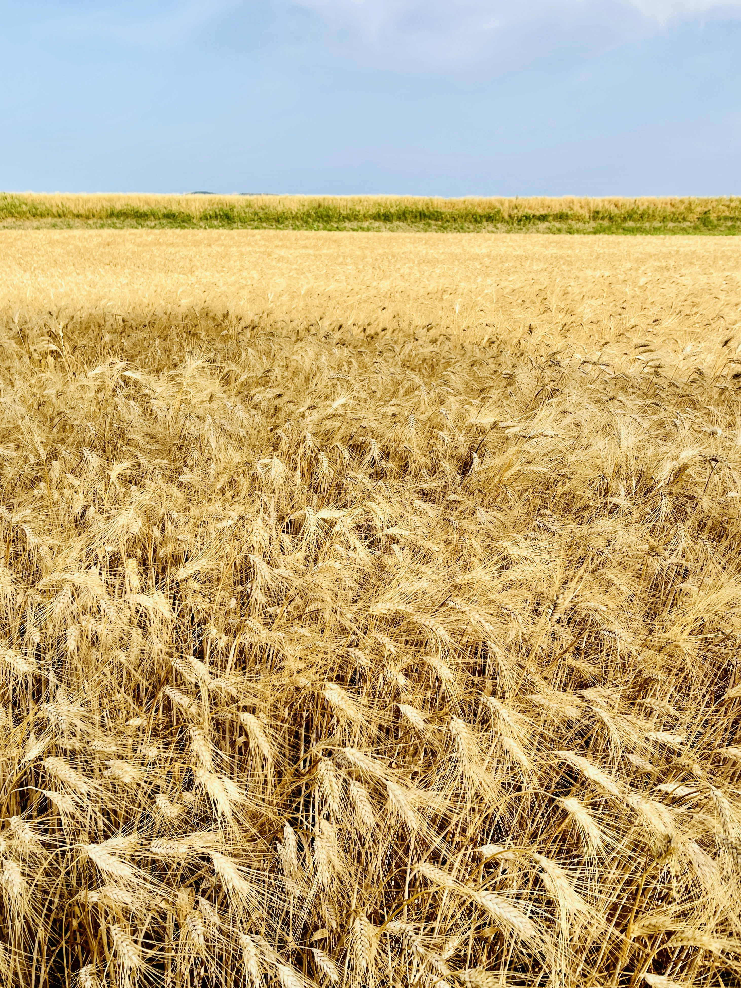 Photo by vincenzogabriele