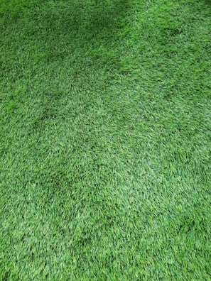 A lush and even surface of green grass, closely trimmed and well-maintained, covers the entire view. The texture is uniform, with blades of grass appearing dense and vibrant.