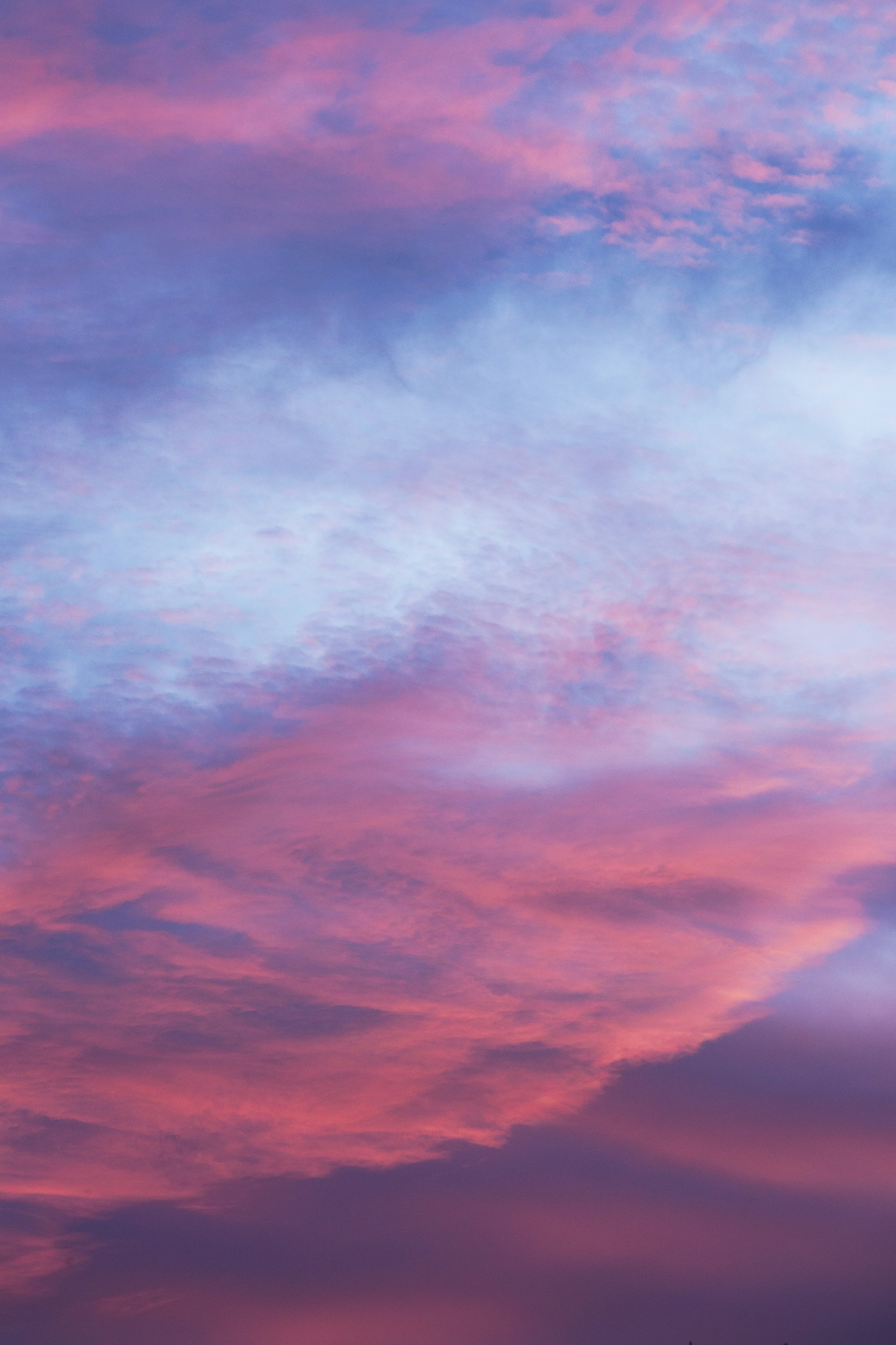 Photo by longlitsense