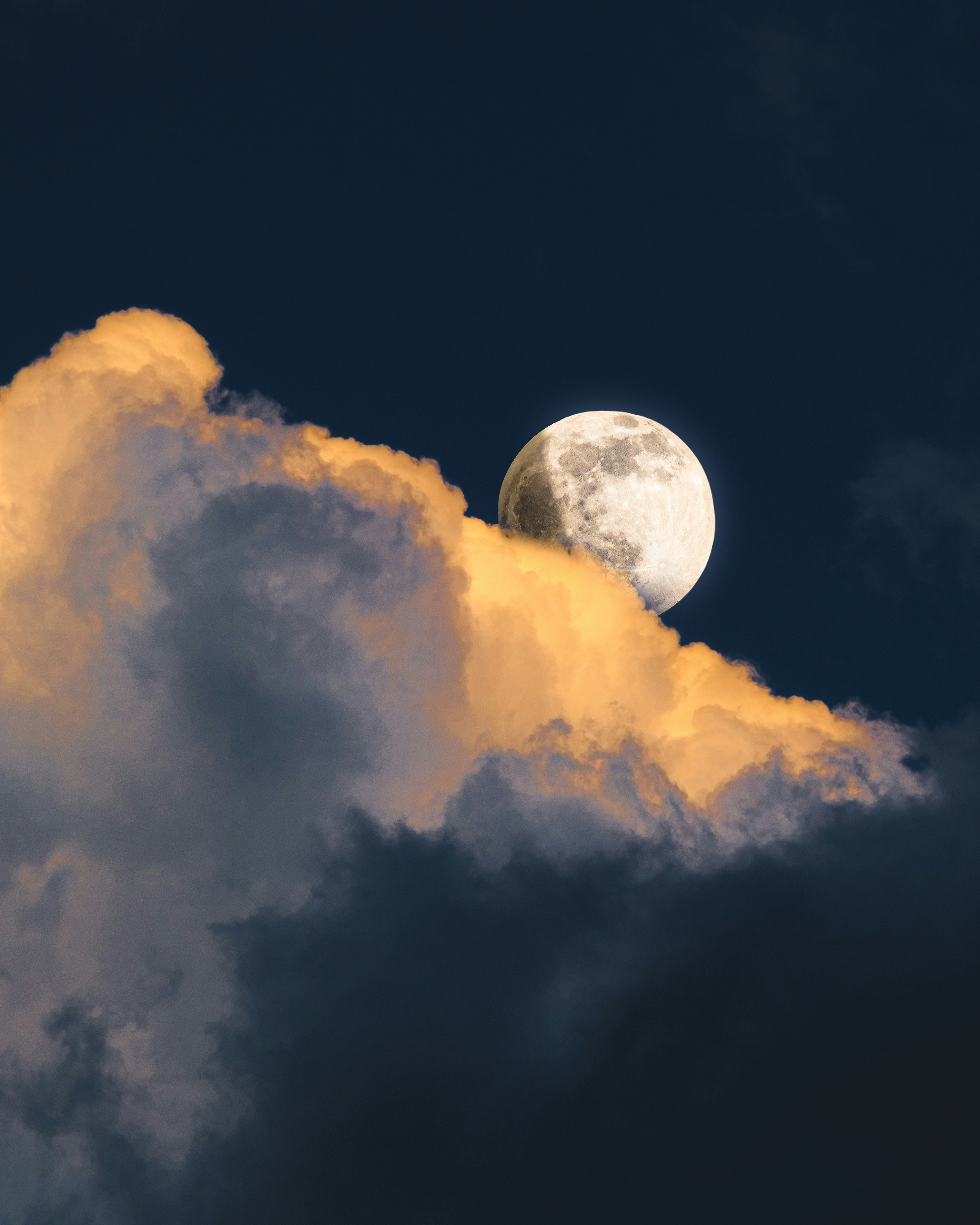 Photo by sopuresocold