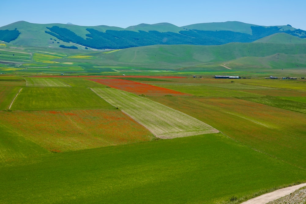 a large green field