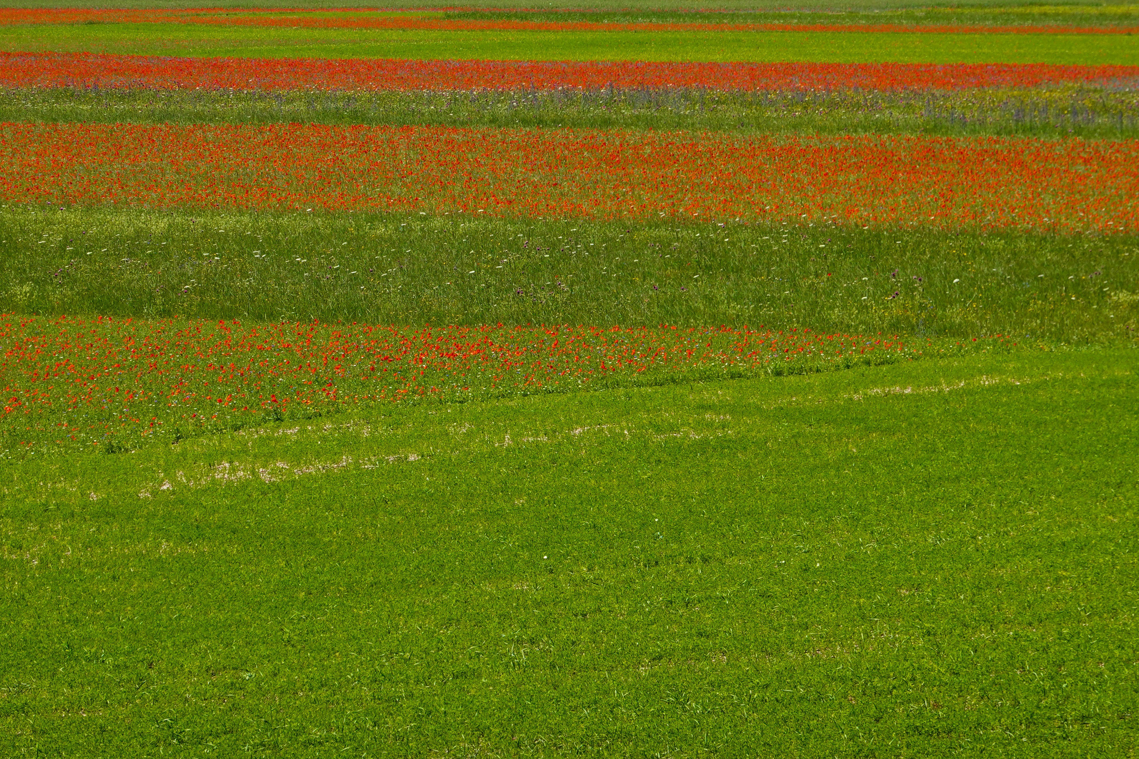 Photo by yogidan2012