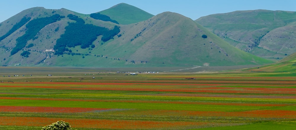 a large green field with mountains in the background