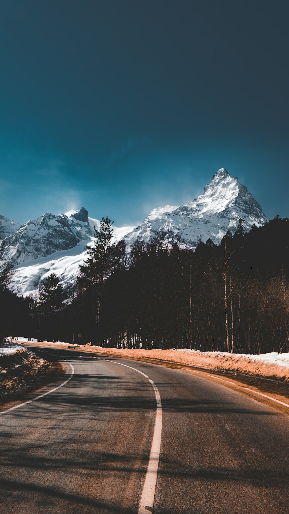 a road with trees and mountains in the background