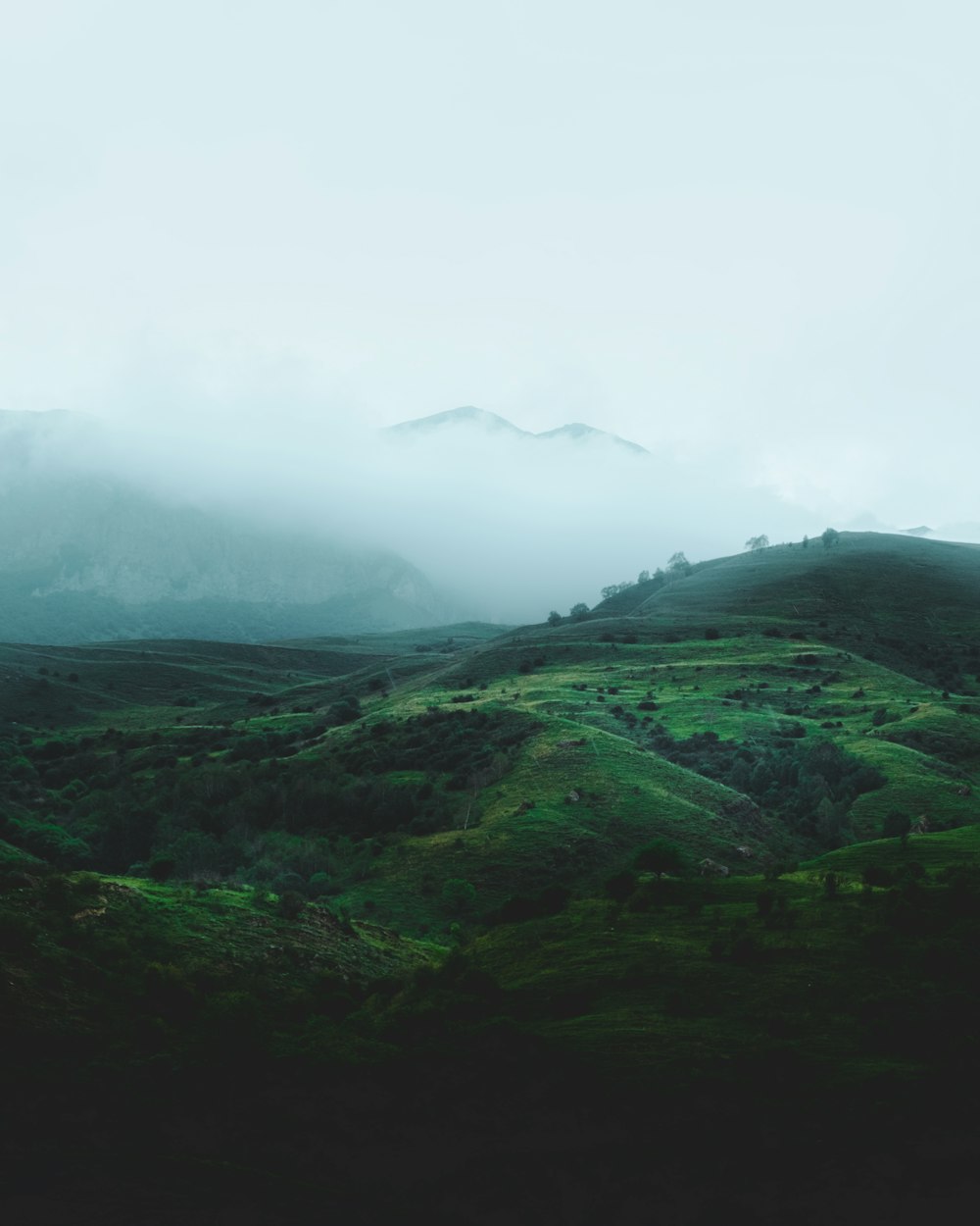 Un paisaje montañoso con niebla