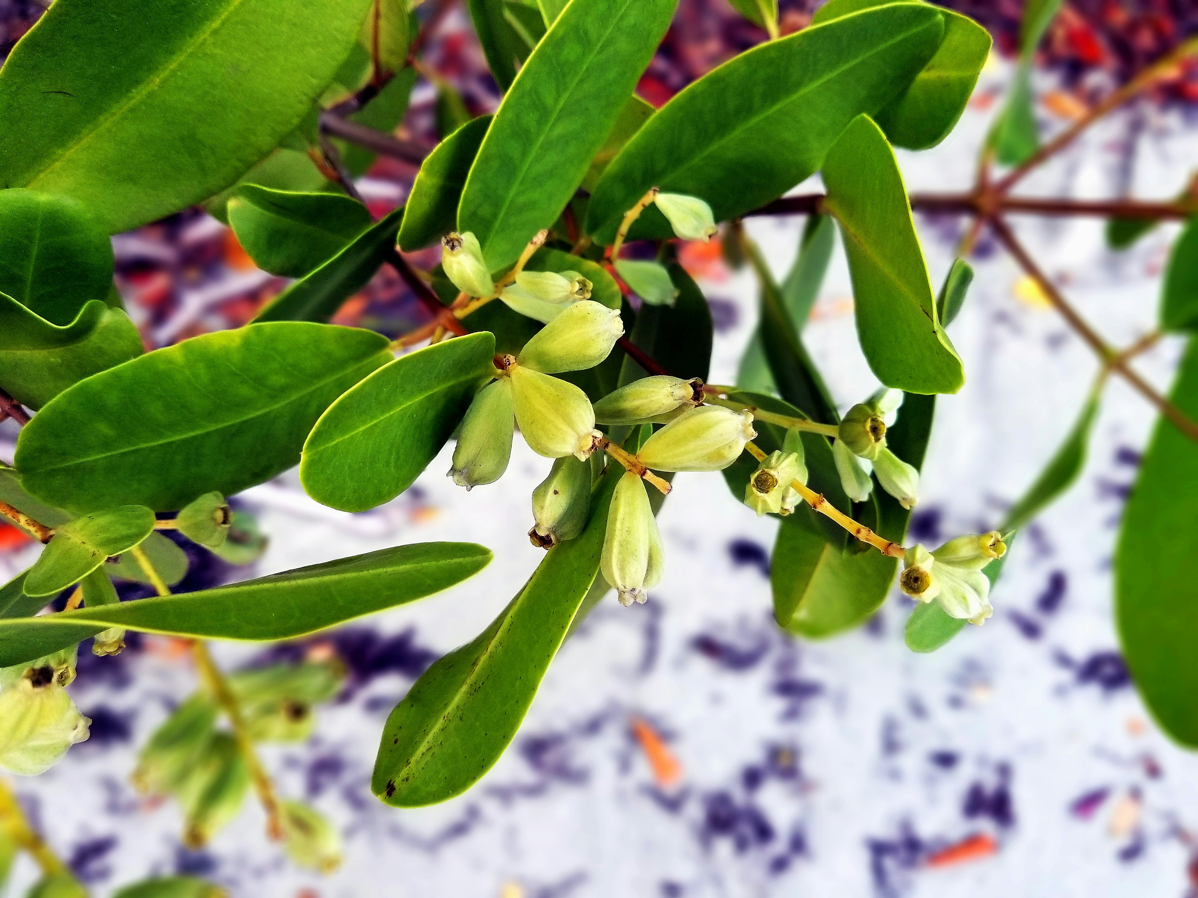 Photo by climatechangevi