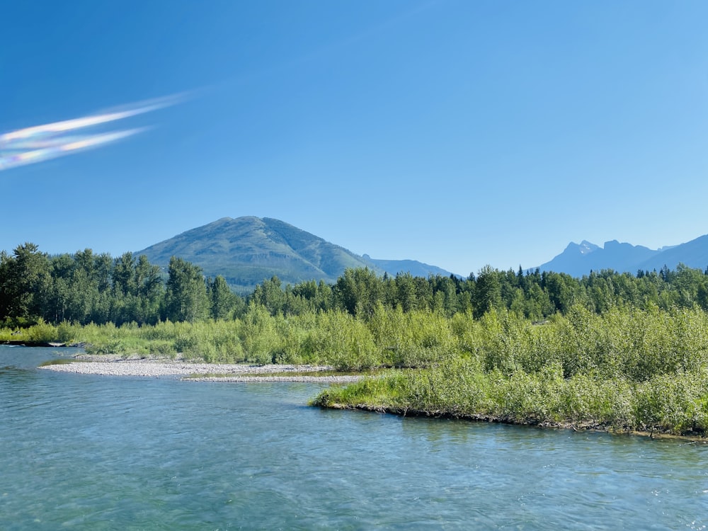 a body of water with trees and mountains in the background