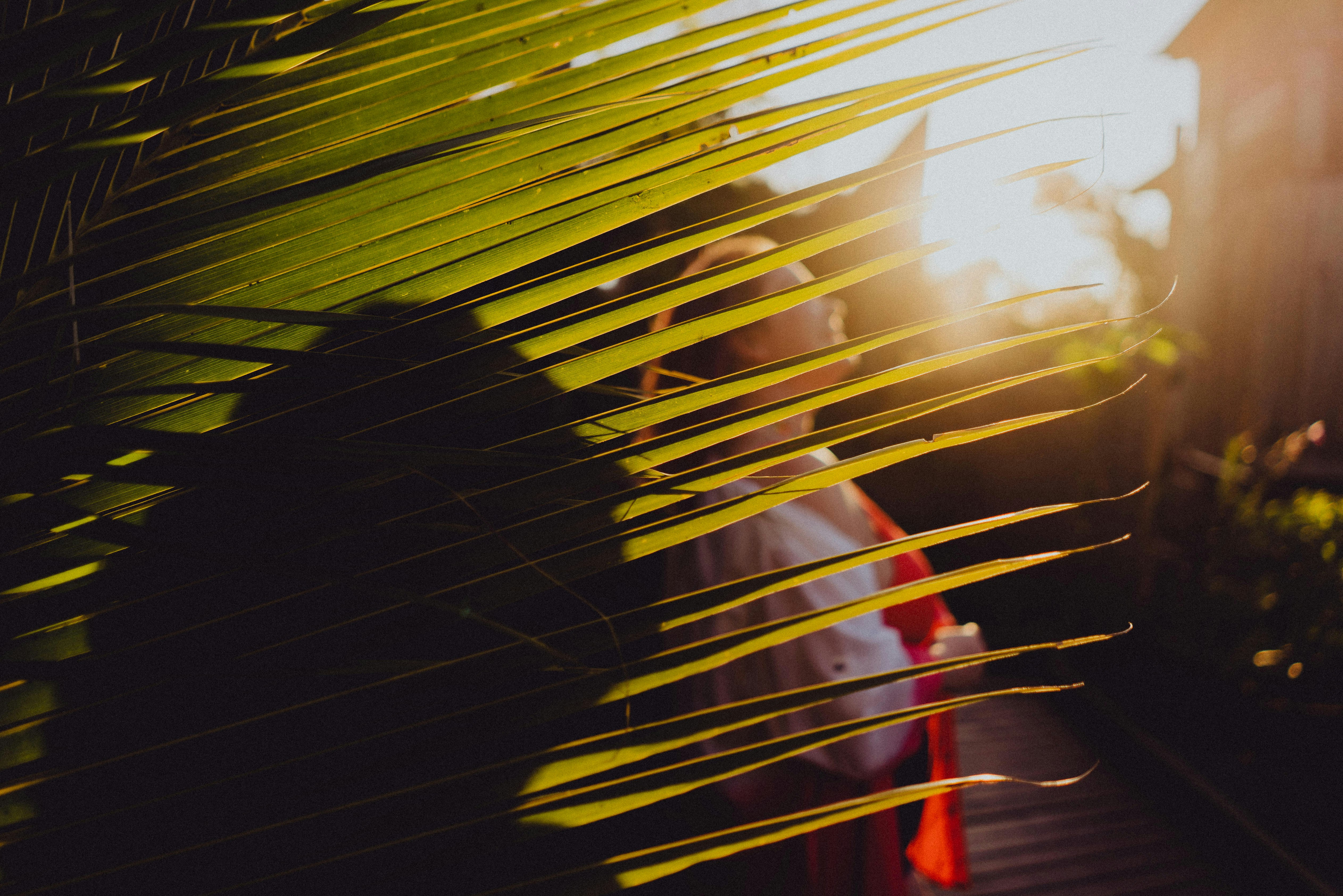 Photo by falairachel