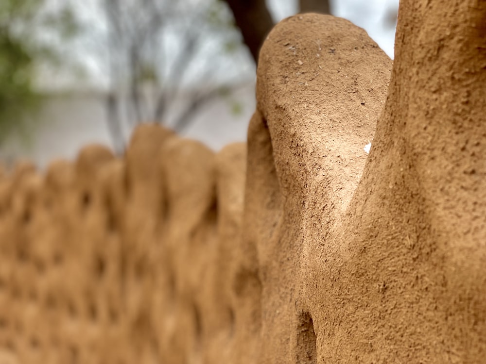 a close up of a stack of hay