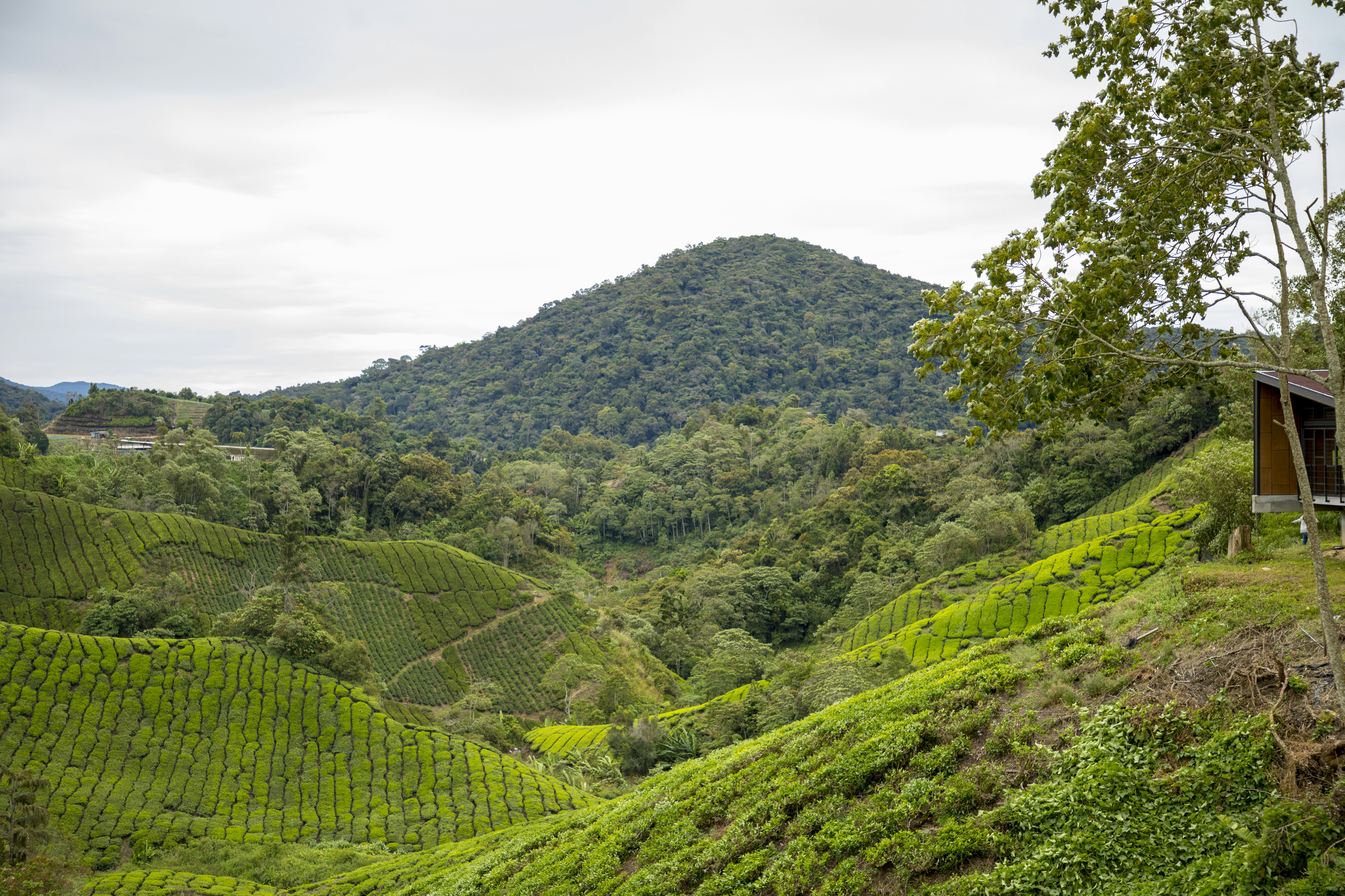 Photo by bahr_splash