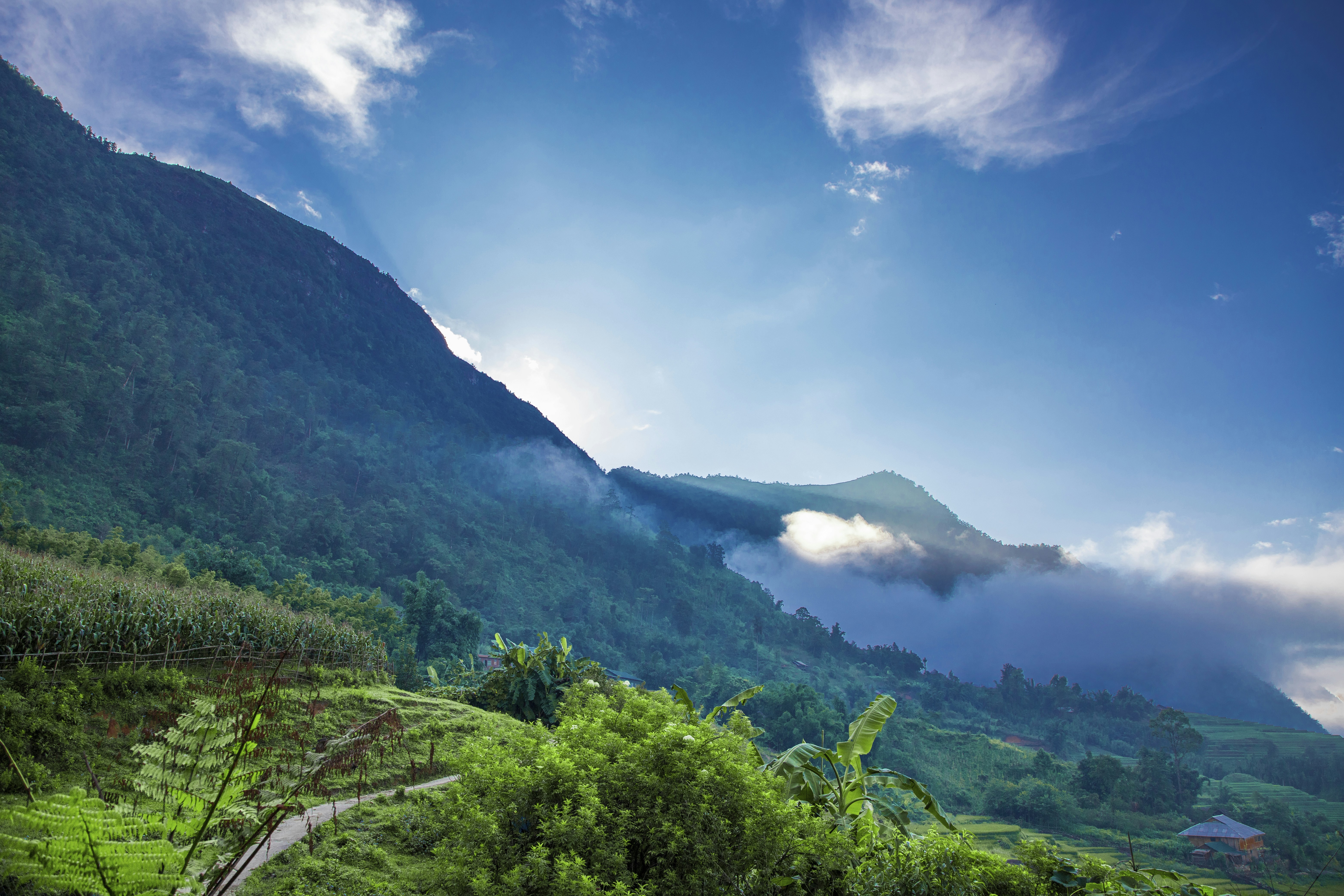 Photo by bahr_splash