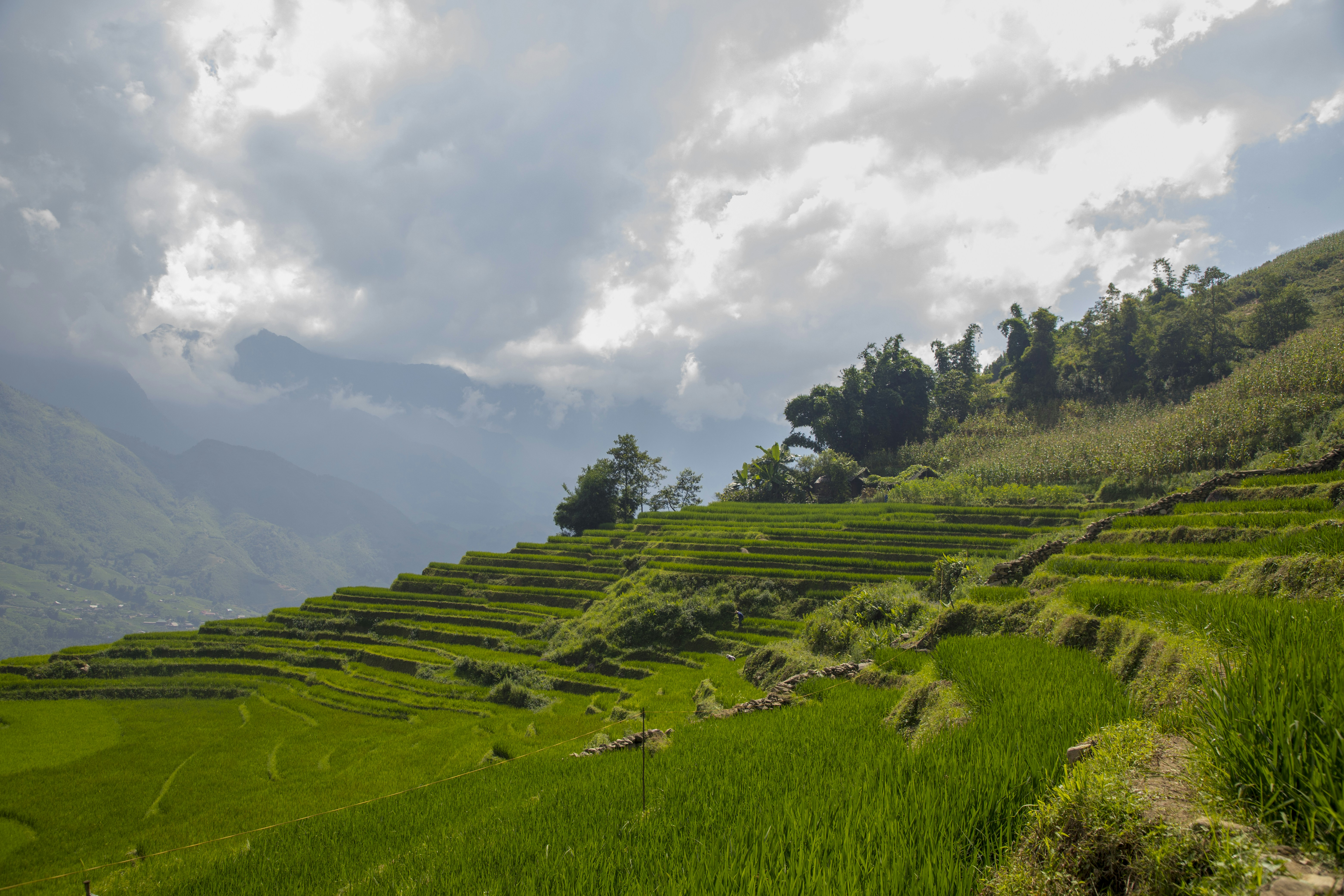 Photo by bahr_splash