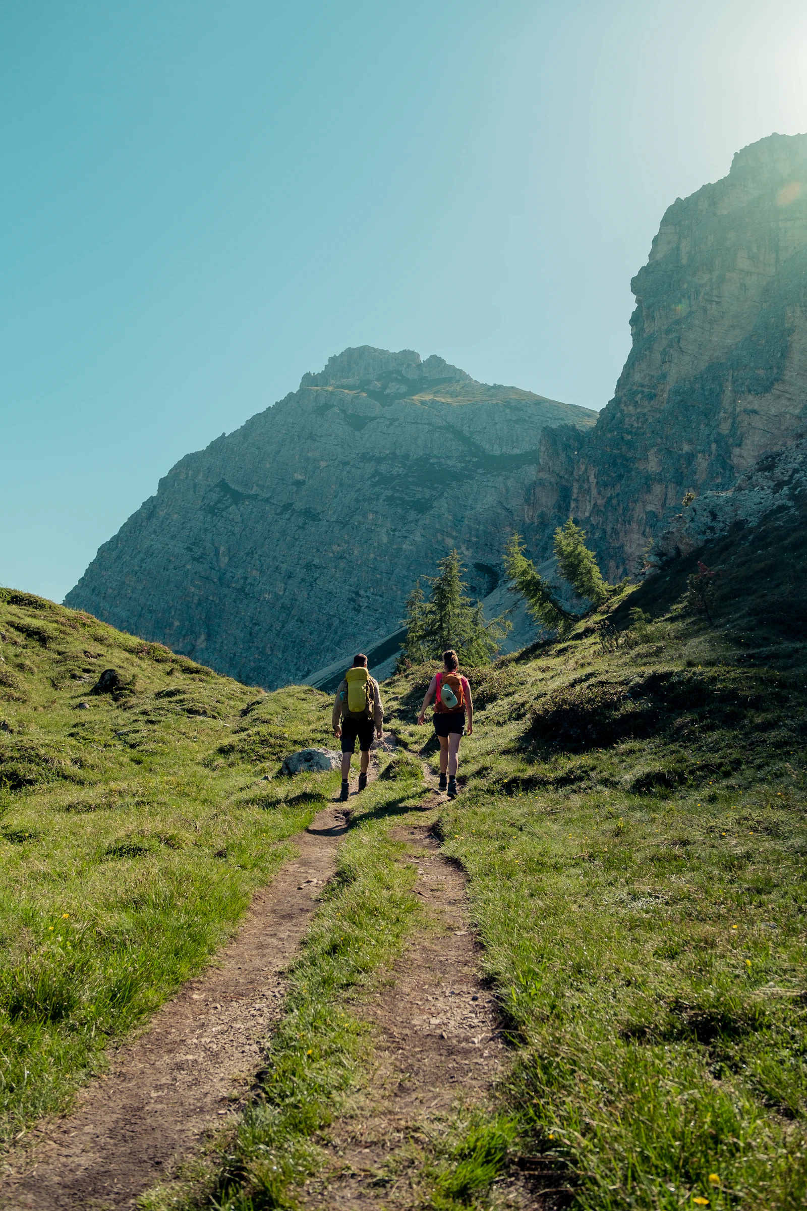 A couple hiking through a forest trail together