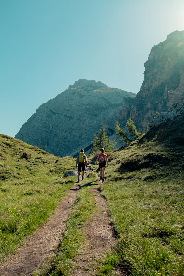 A couple hiking through a forest trail together