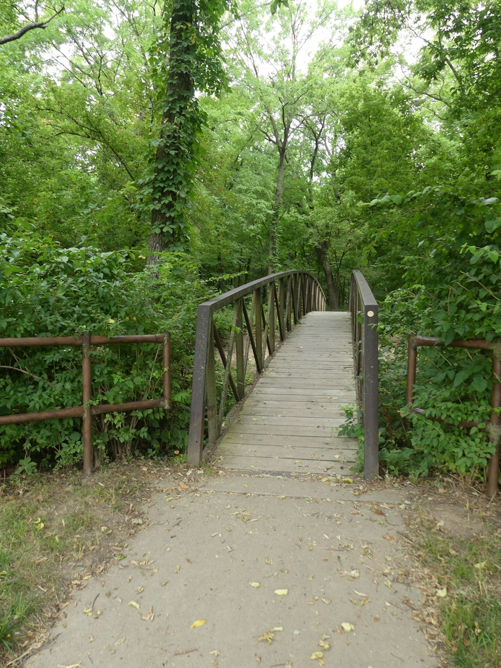 a wooden bridge in the woods