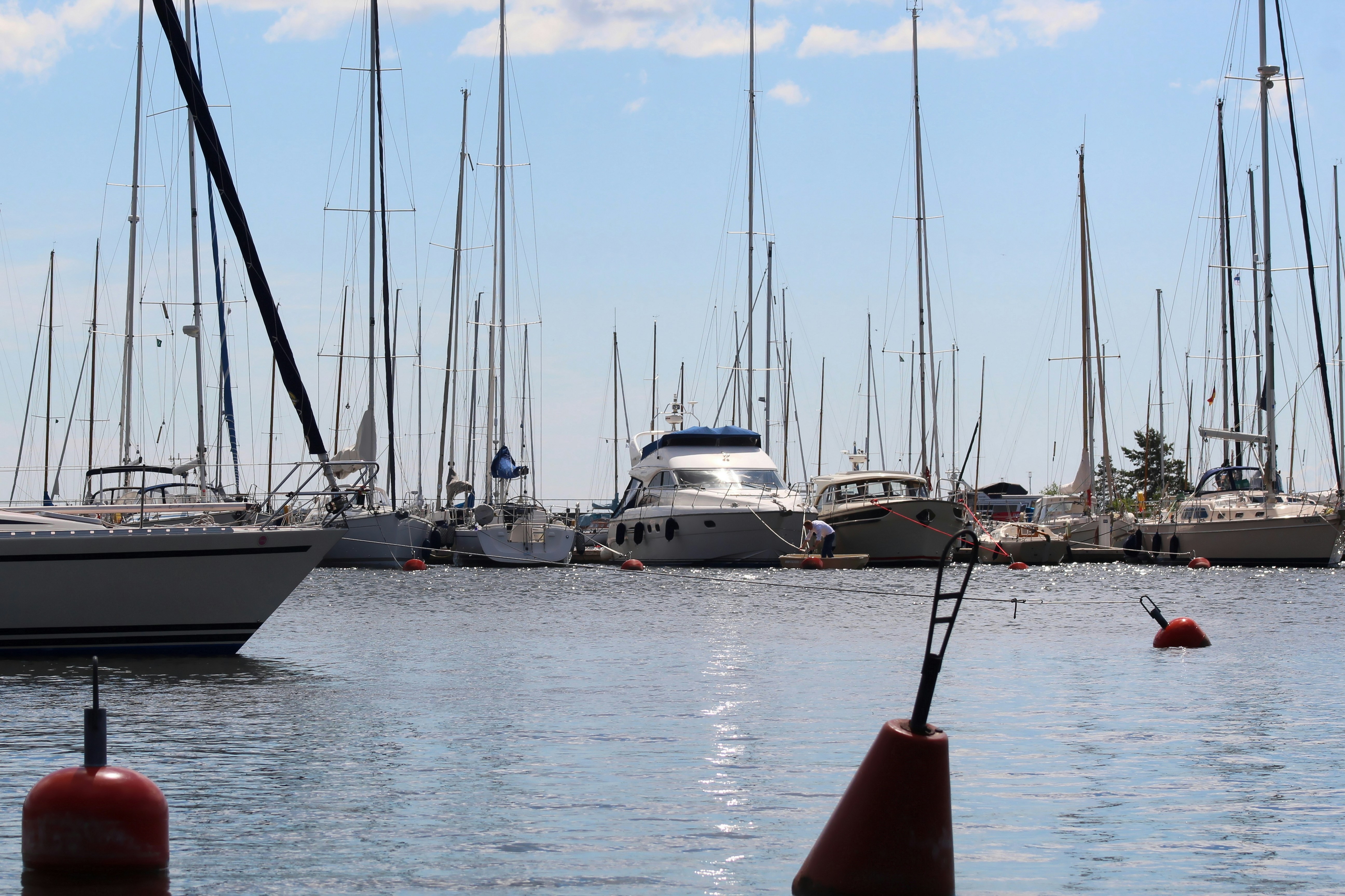 a group of boats sit in a harbor
