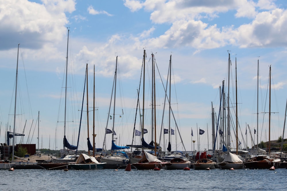 a group of sailboats in a harbor