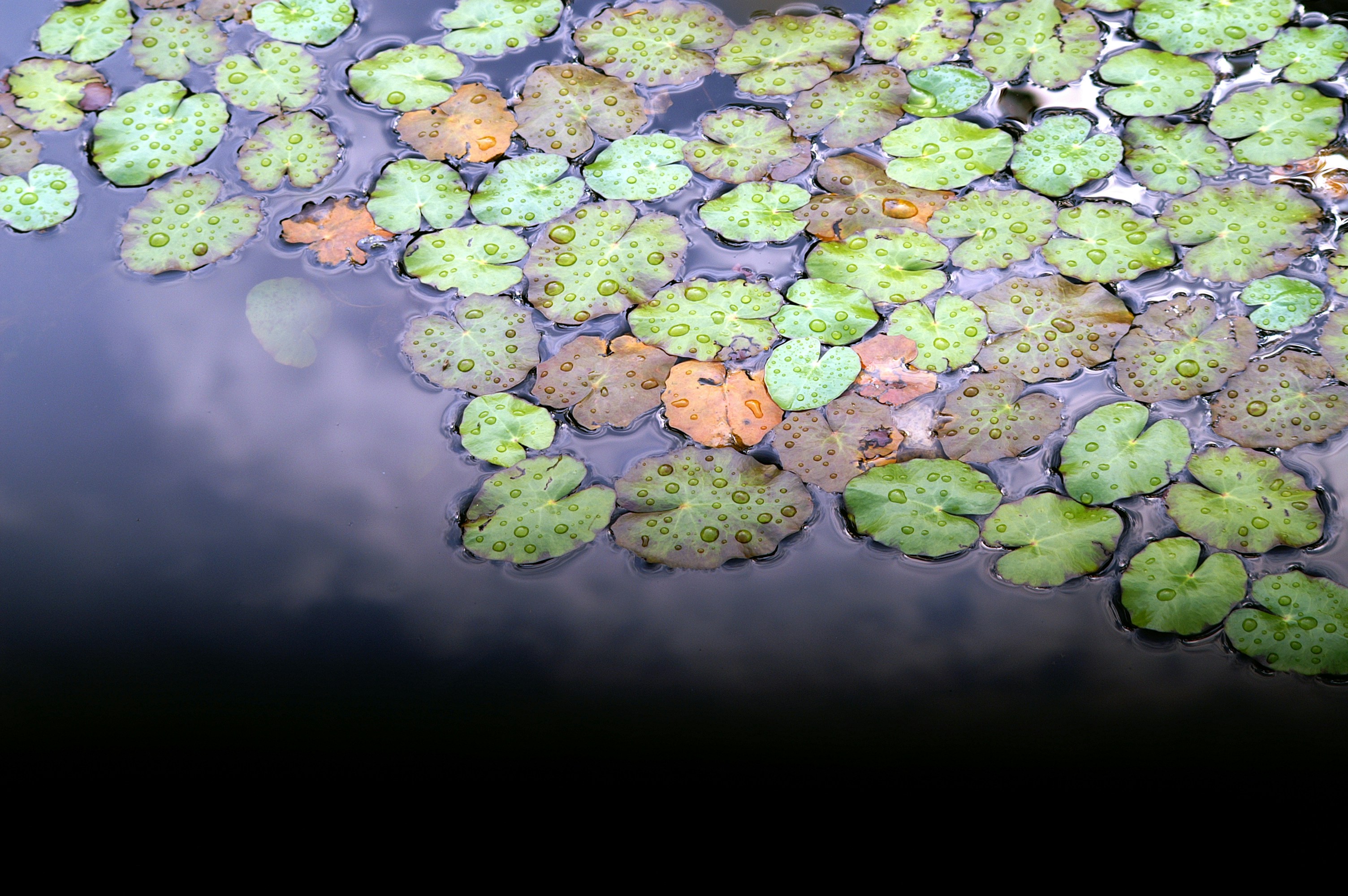 a group of colorful rocks