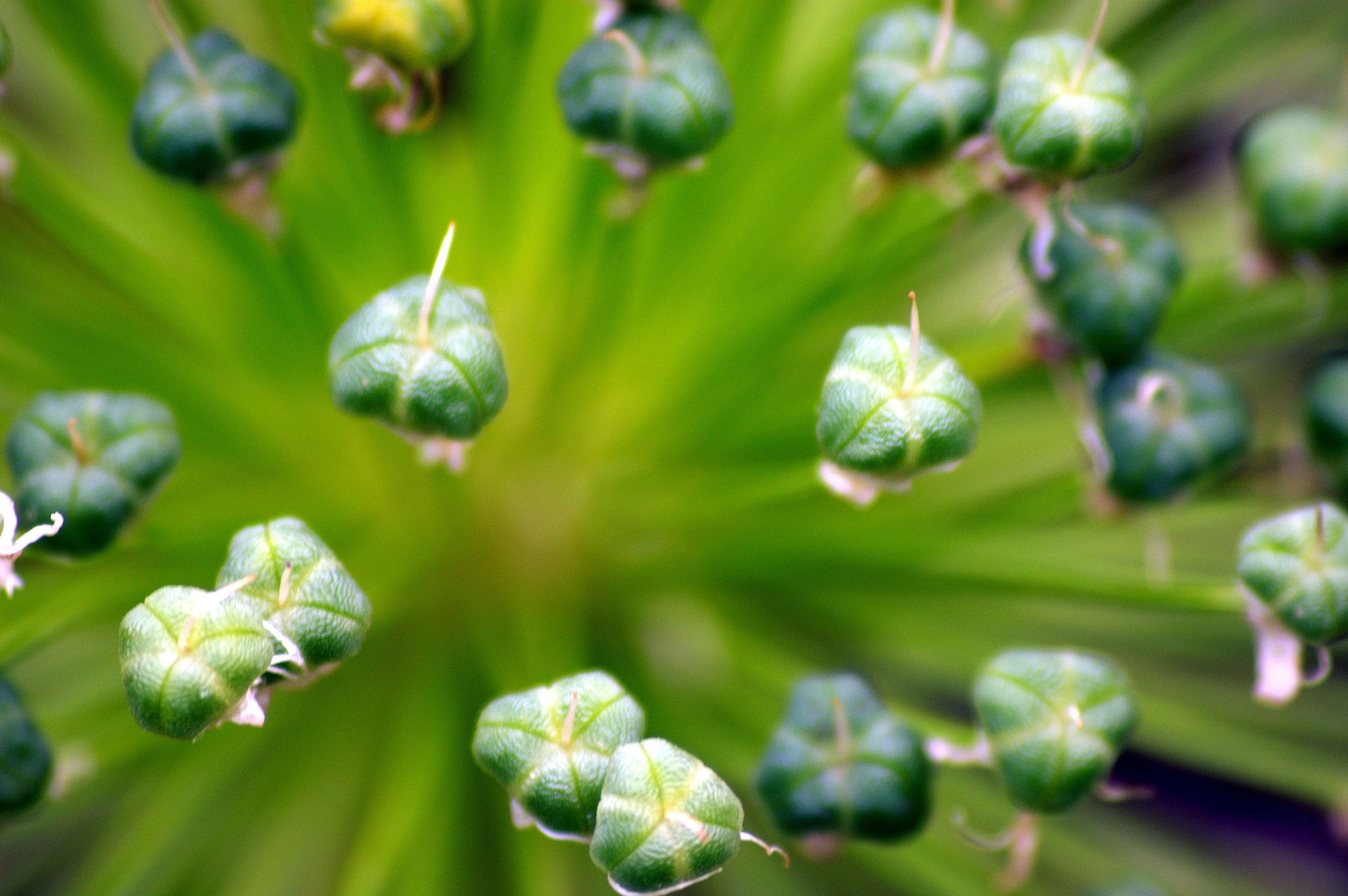 Photo by rdavidcummins