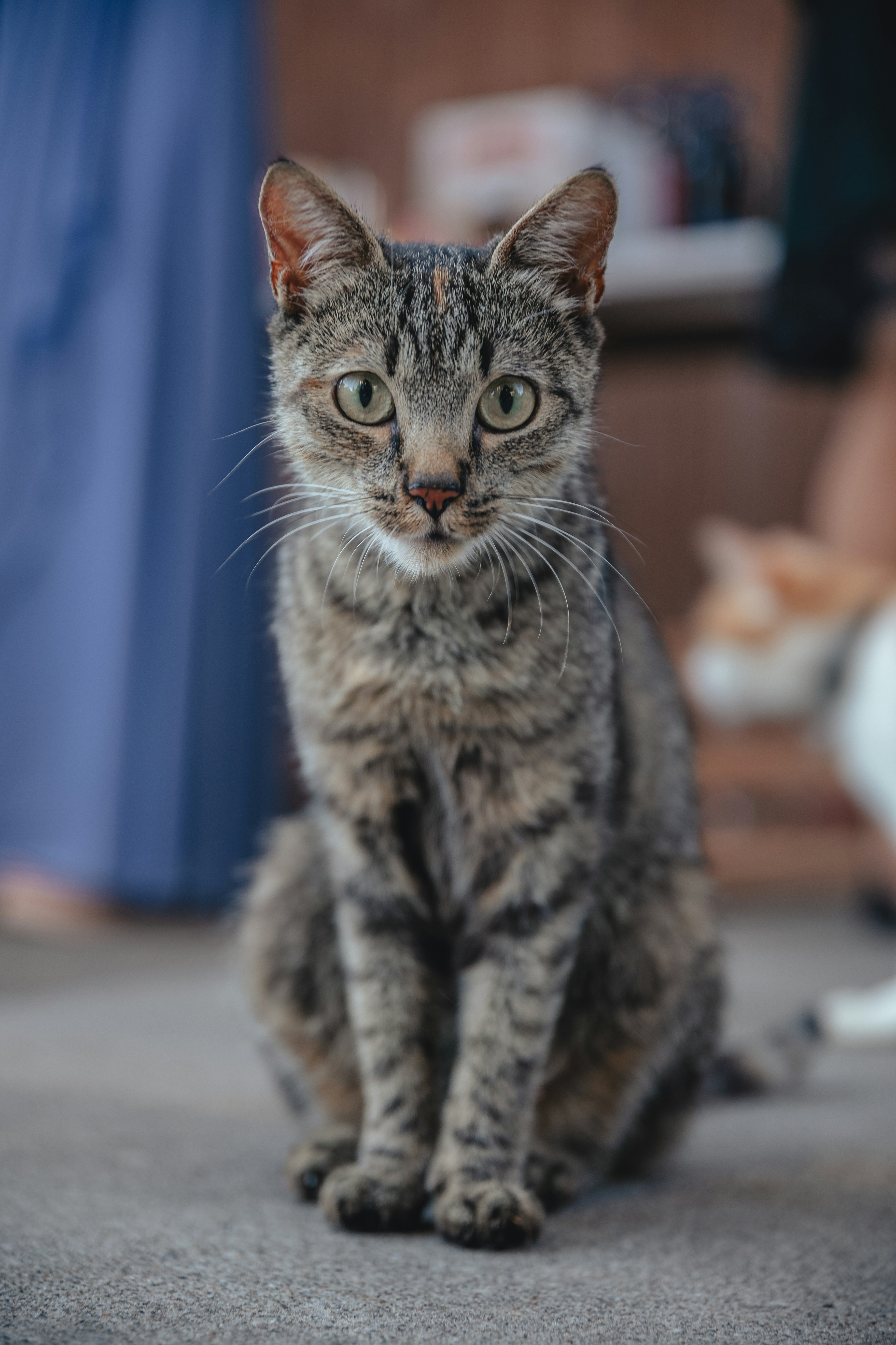 Photo by janoschphotos