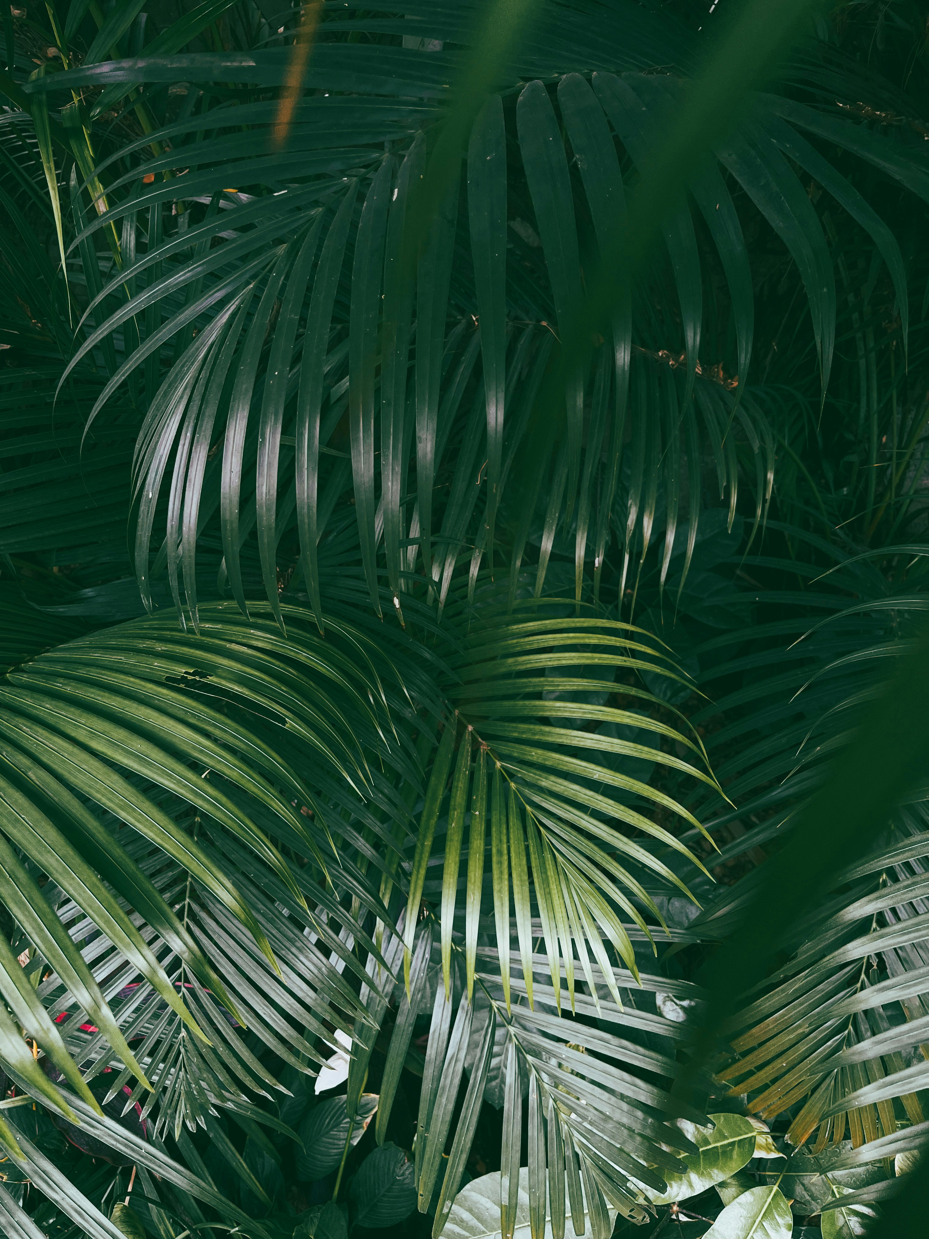 Photo by ruchijadiye