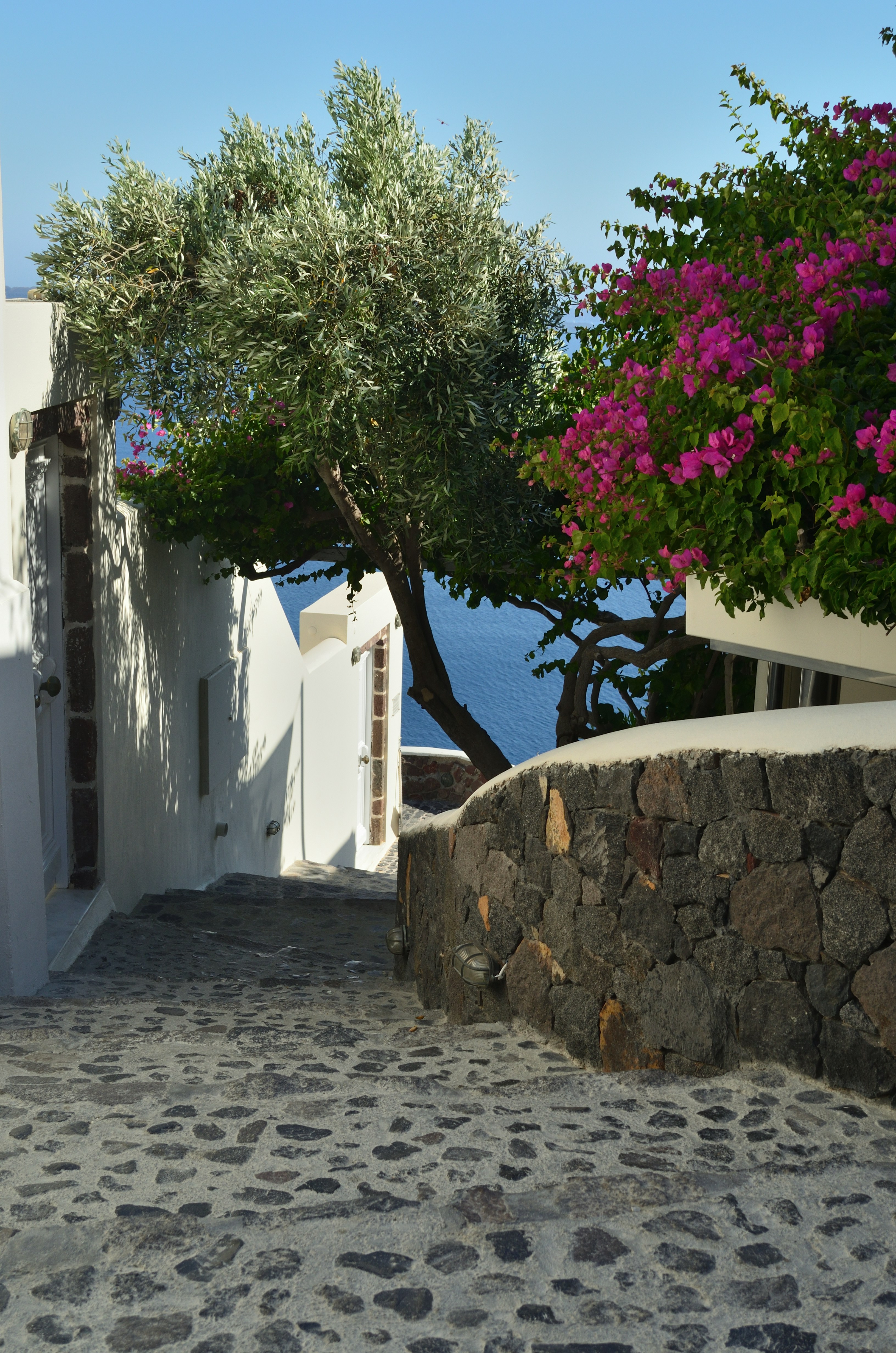 Photo by famouswebsites