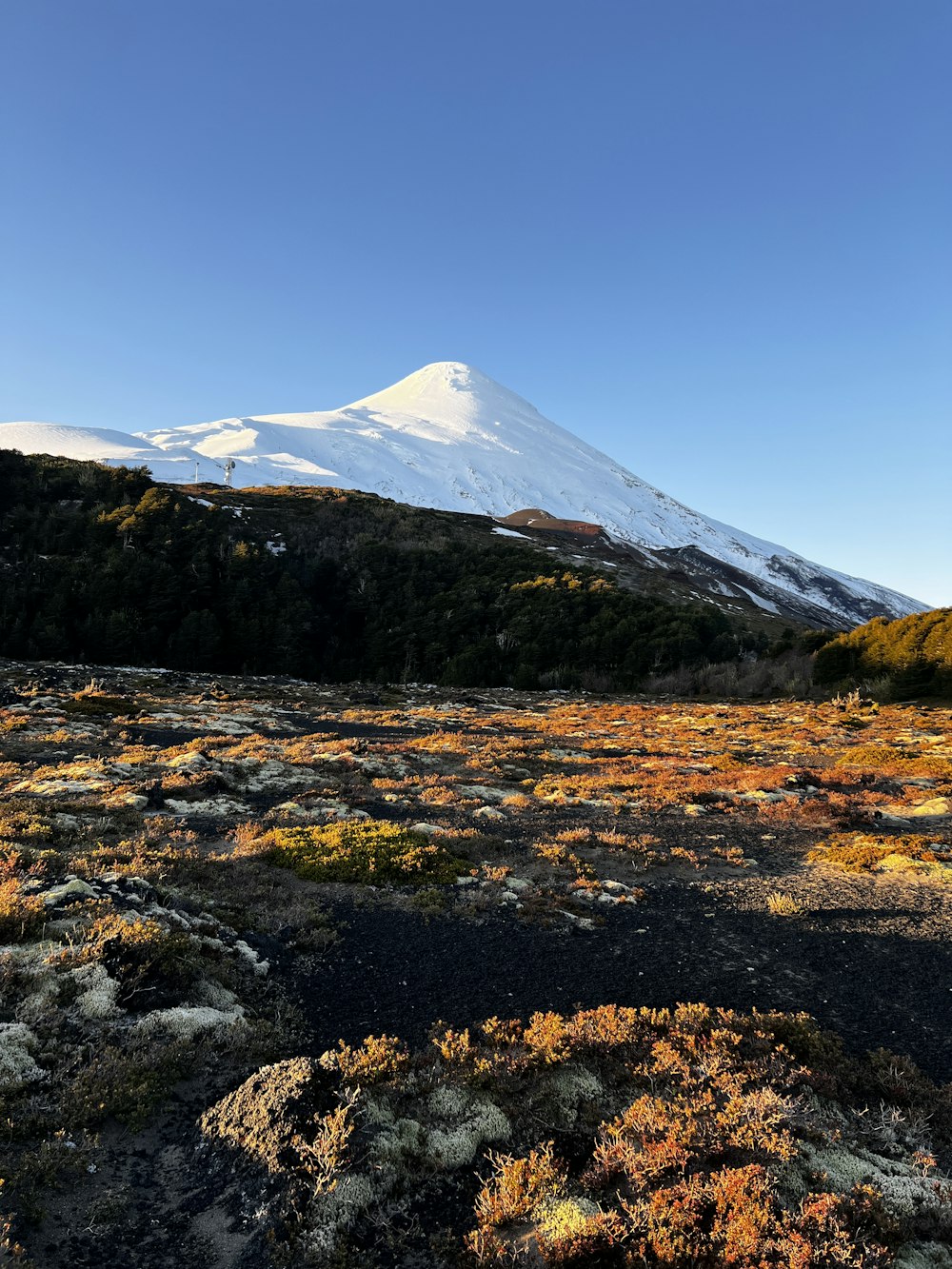 a snowy mountain with trees and a lake below