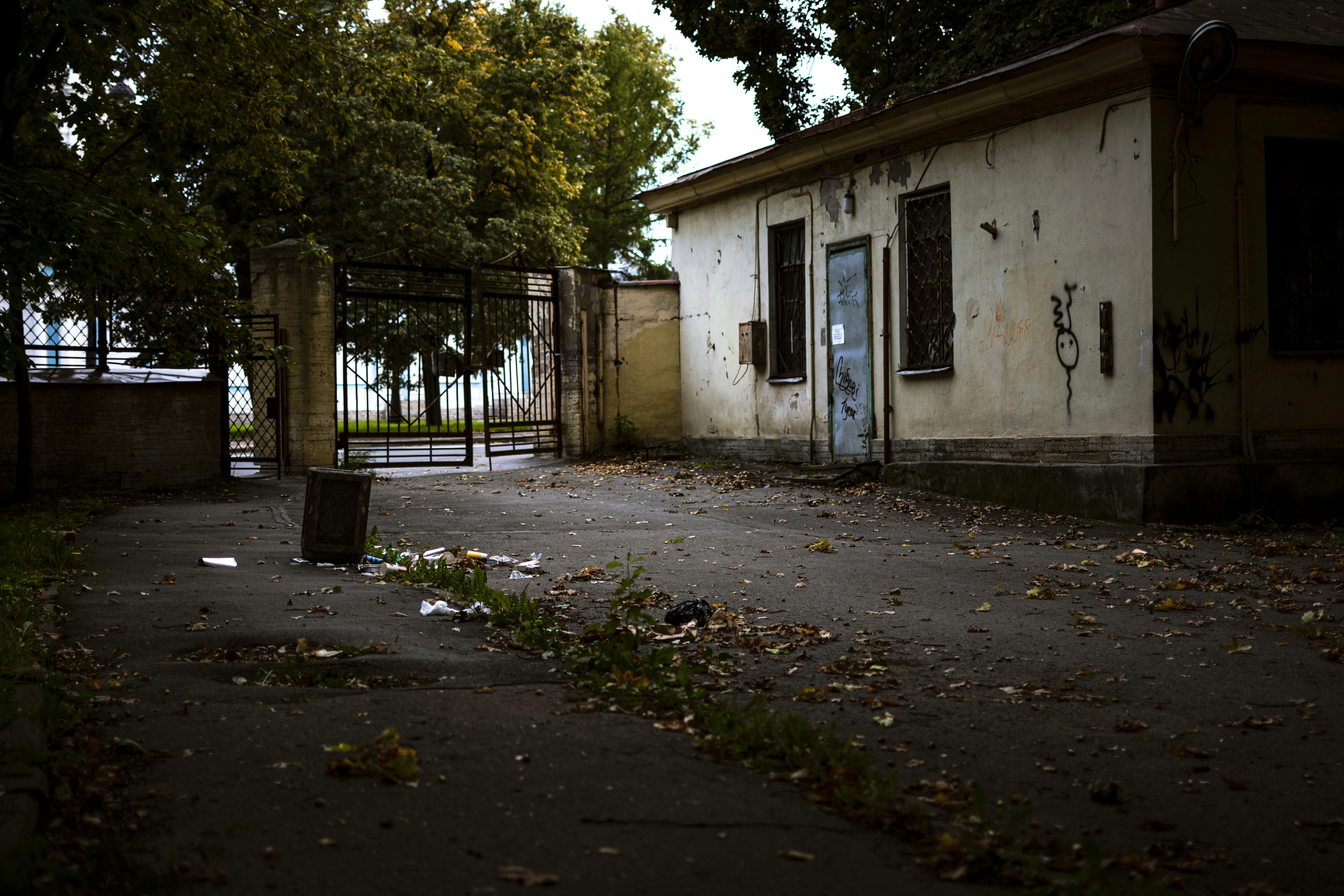 Photo by vadutskevich