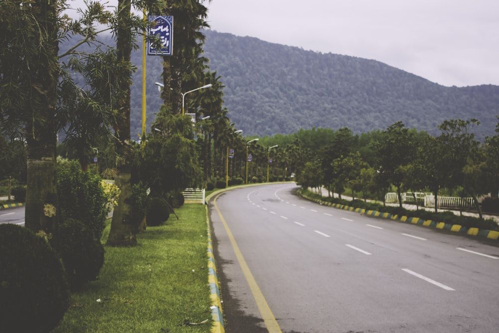 a road with trees and grass on the side