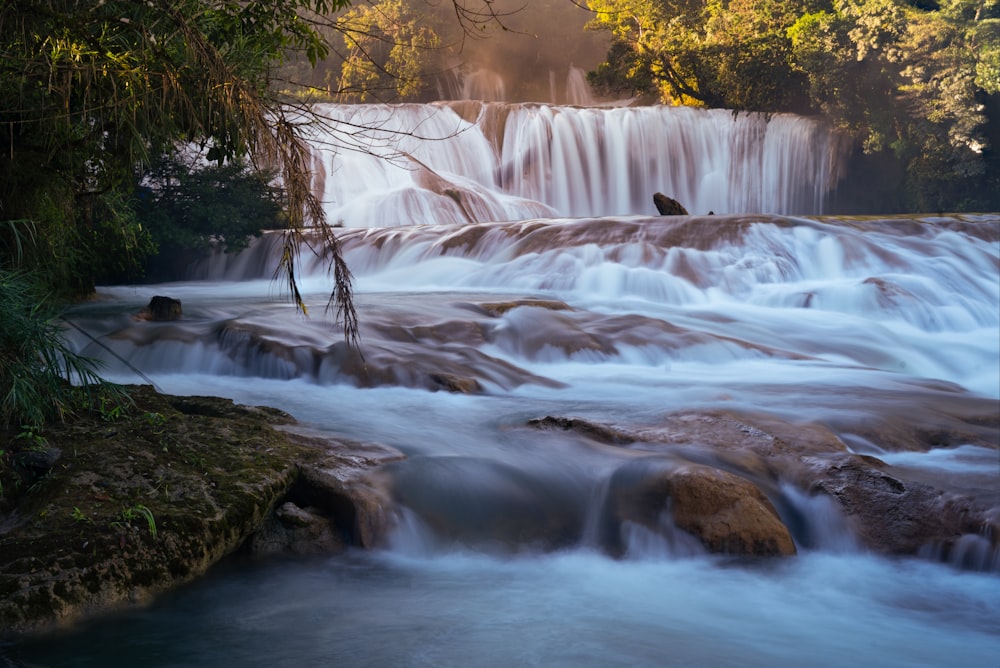 a waterfall with trees around it